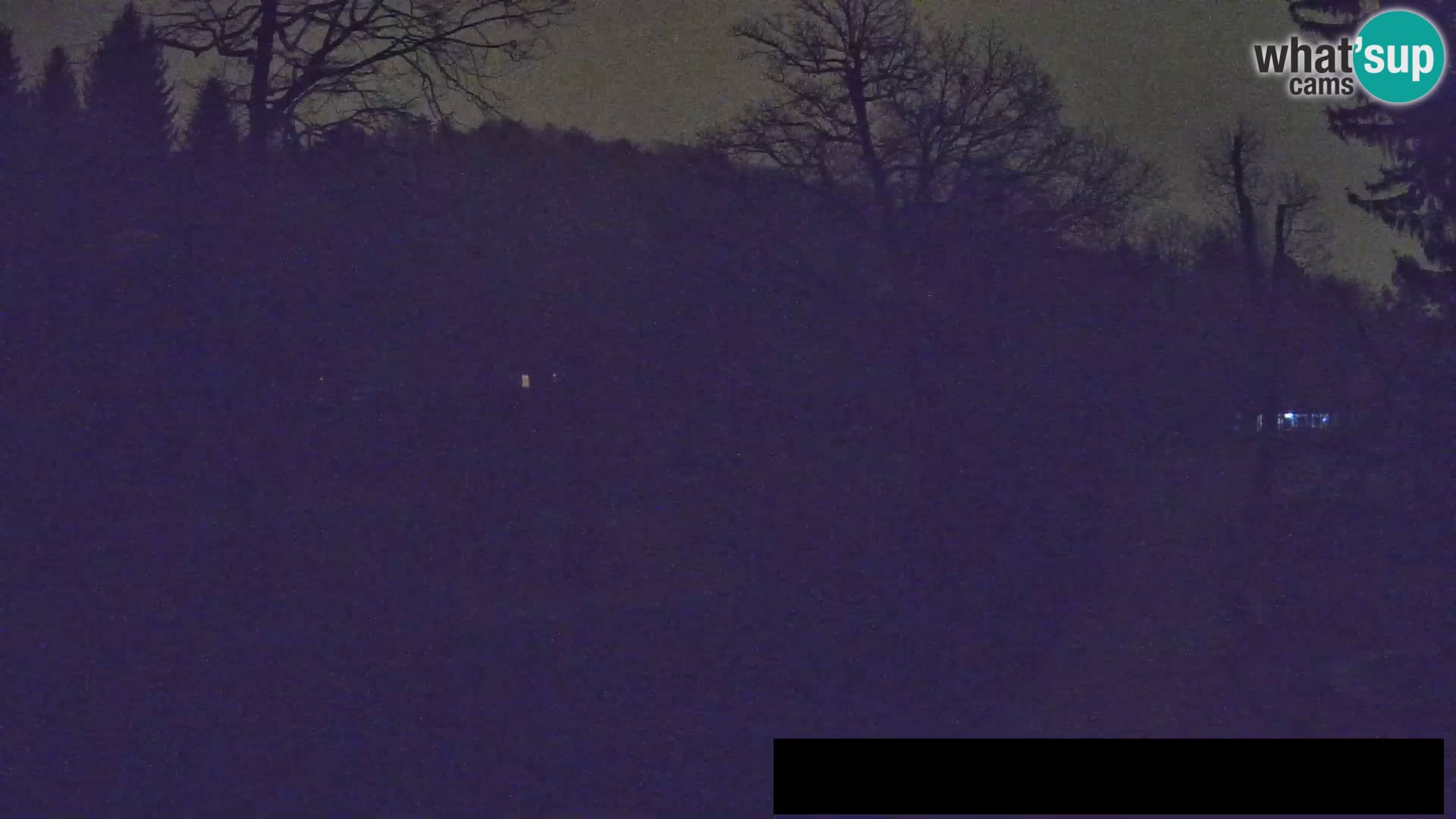 Spletna kamera Živalski vrt Ljubljana – Žirafe