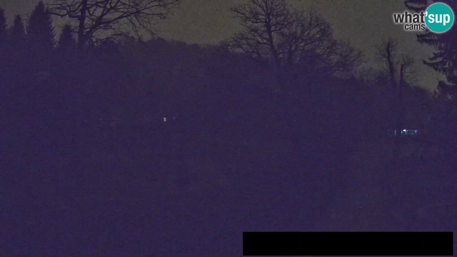 Webcam Zoo Ljubljana – Giraffes