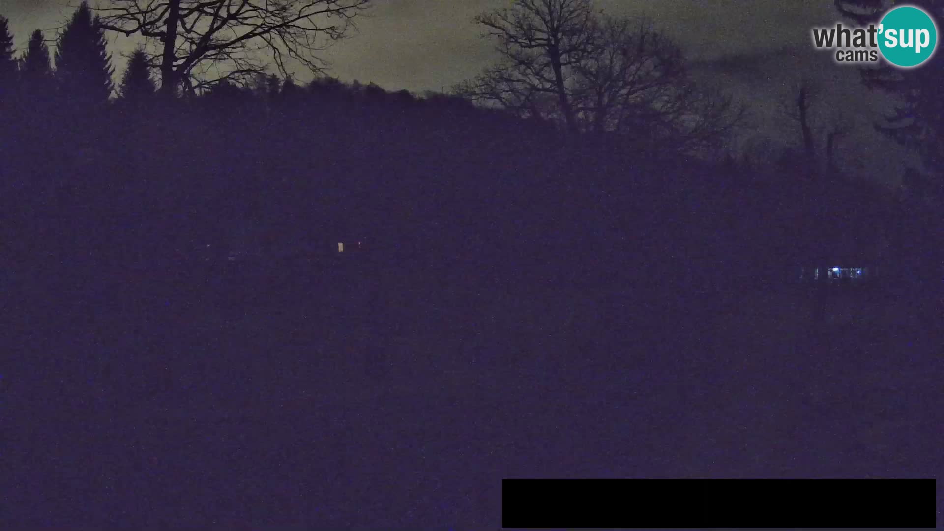 Webcam Zoo Ljubljana – Jirafas