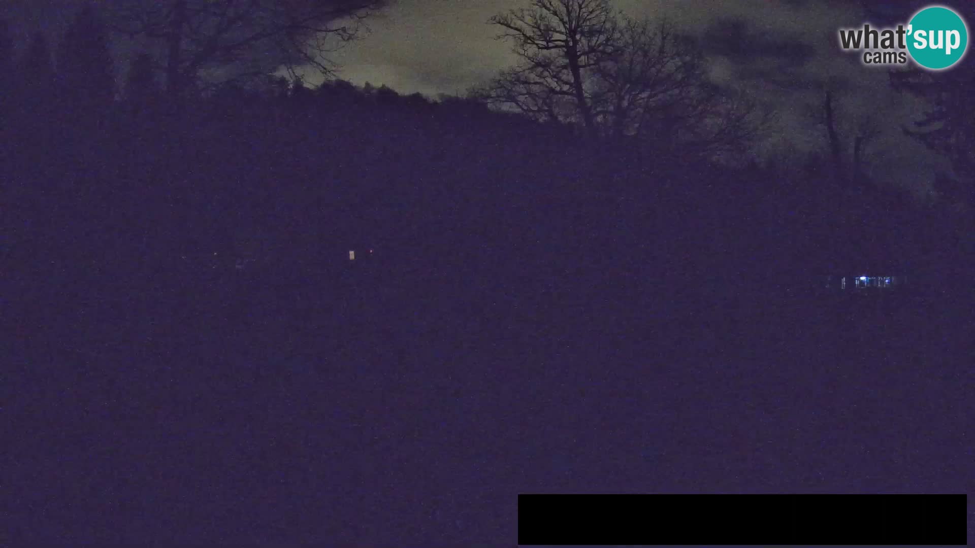 Spletna kamera Živalski vrt Ljubljana – Žirafe