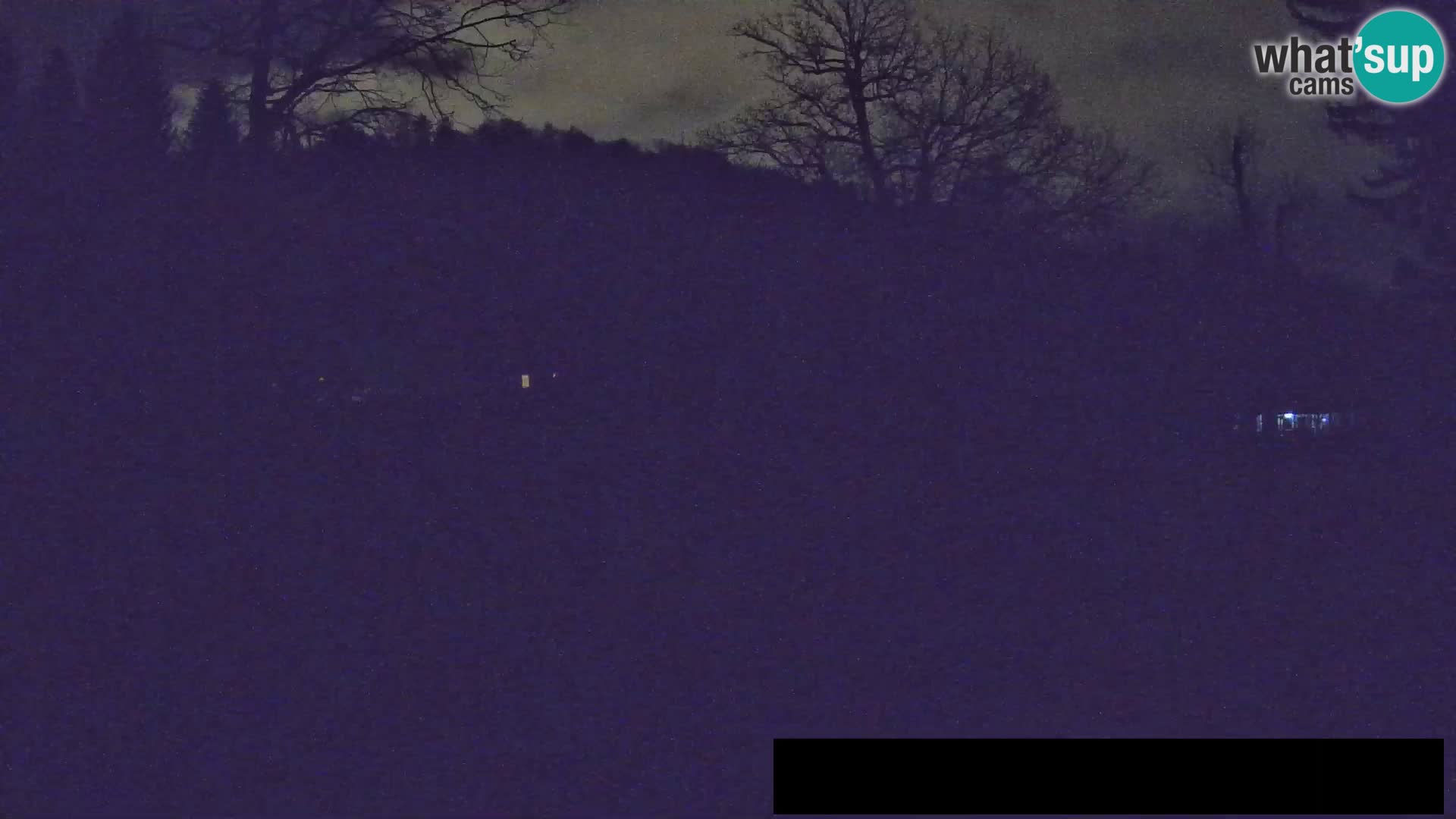 Webcam Zoo Ljubljana – Giraffes