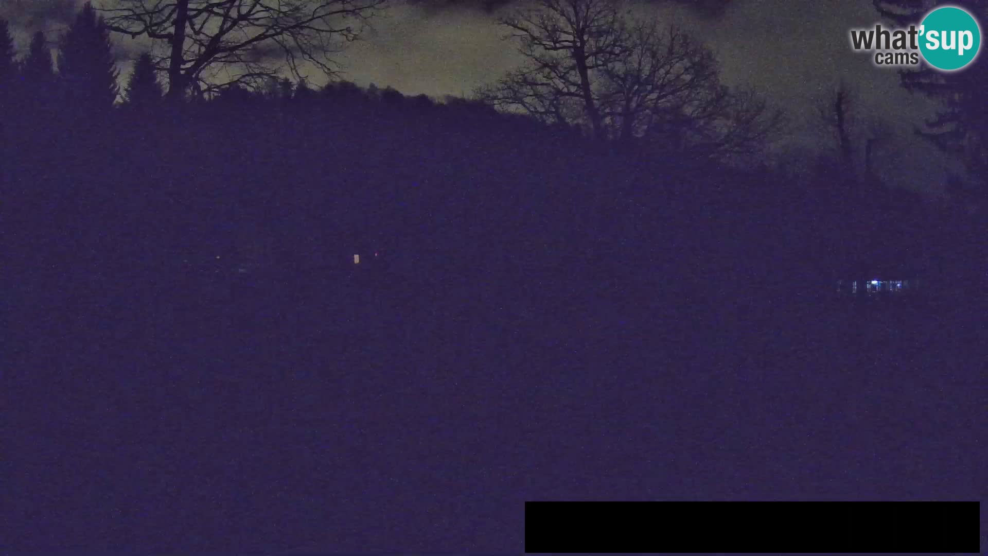 Webcam Zoo Ljubljana – Giraffen