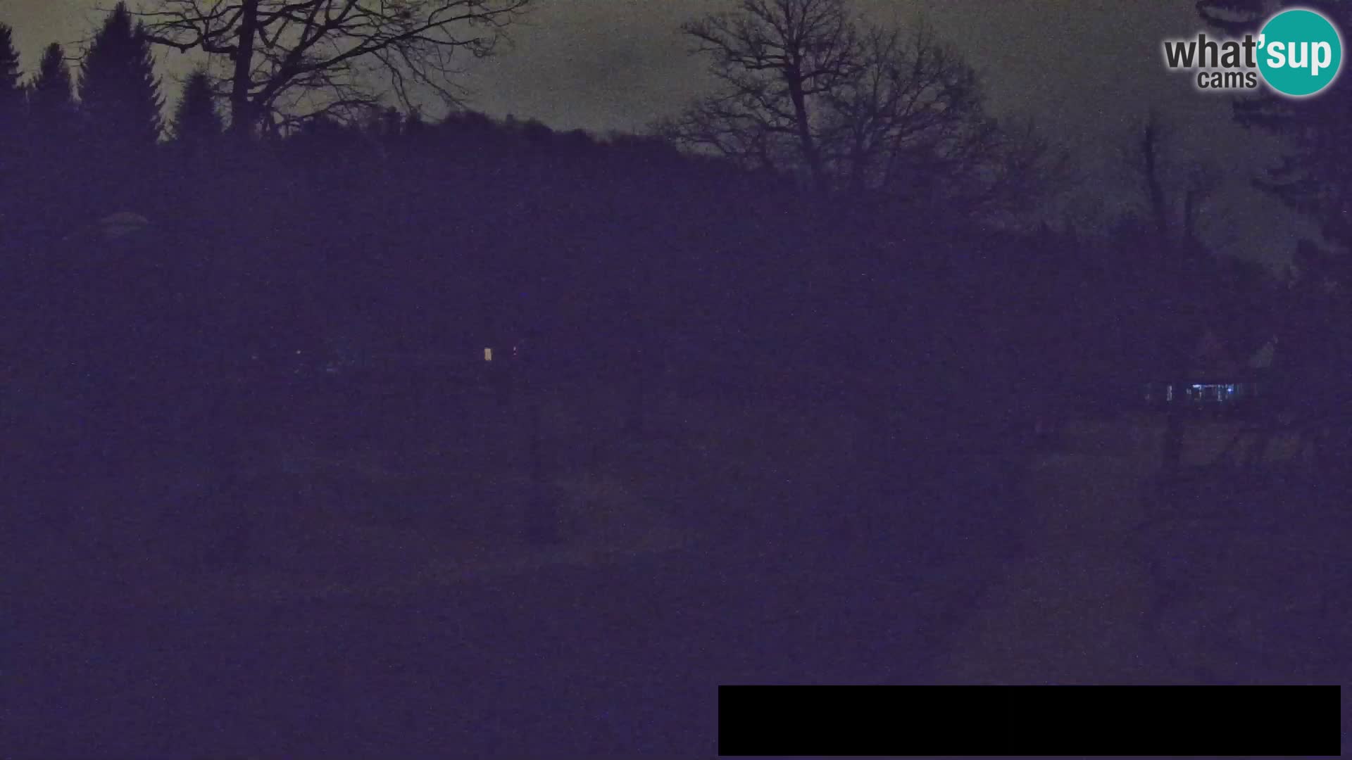 Webcam Zoo Ljubljana – Giraffen