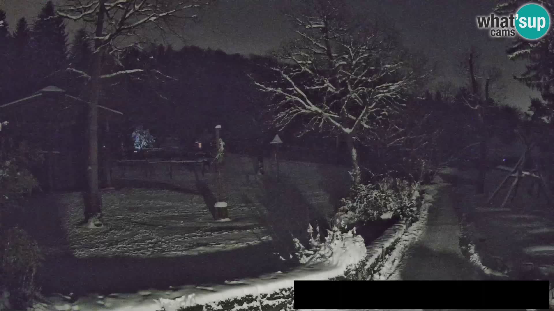 Webcam Zoo Ljubljana – Giraffes