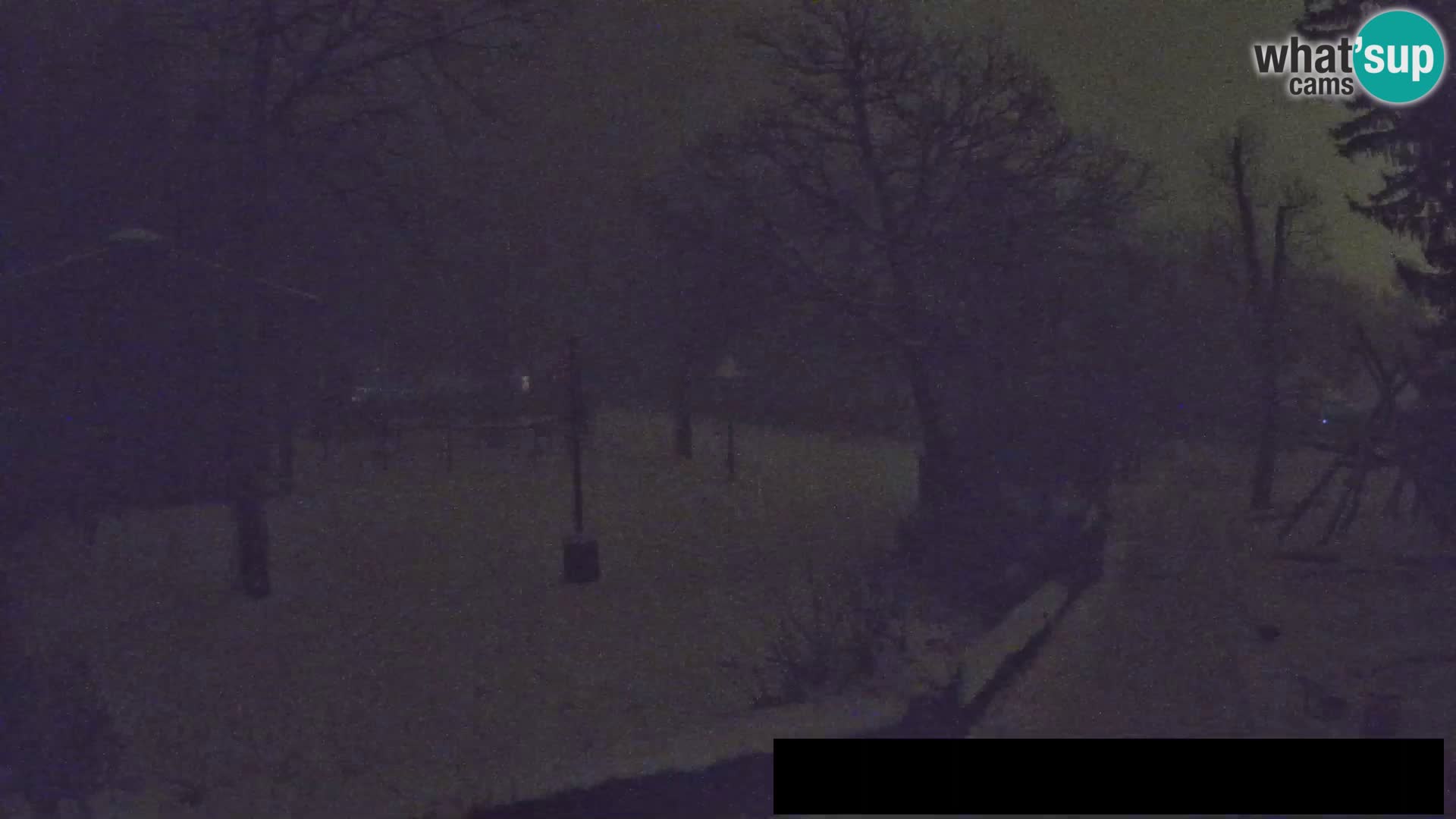 Webcam Zoo Ljubljana – Giraffes