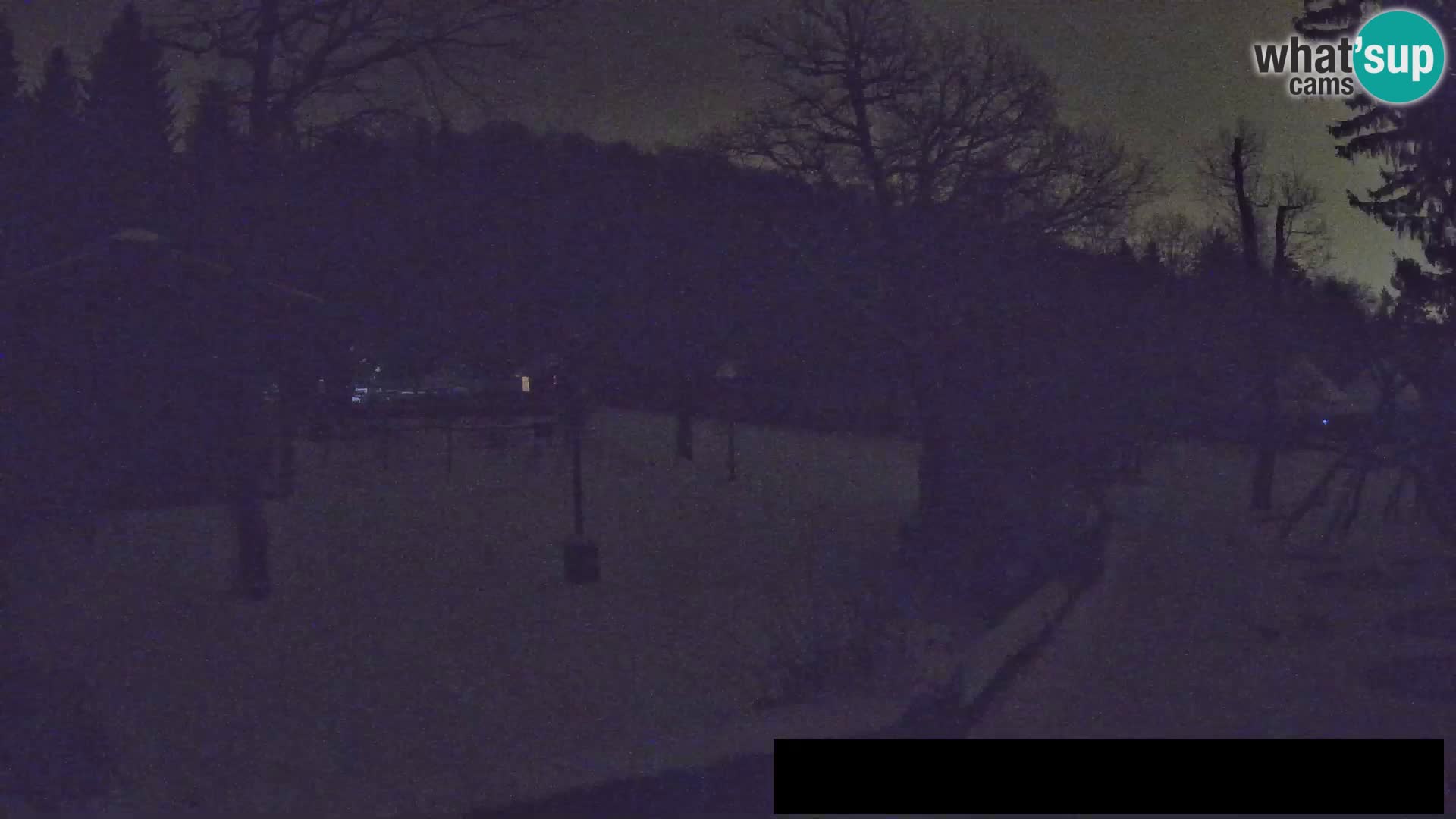 Webcam Zoo Ljubljana – Giraffes