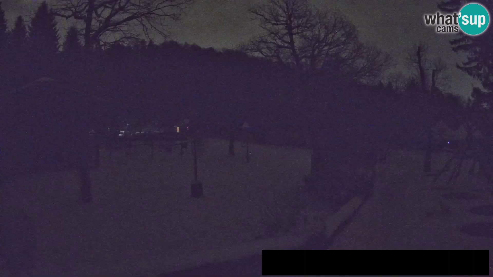 Webcam Zoo Ljubljana – Jirafas