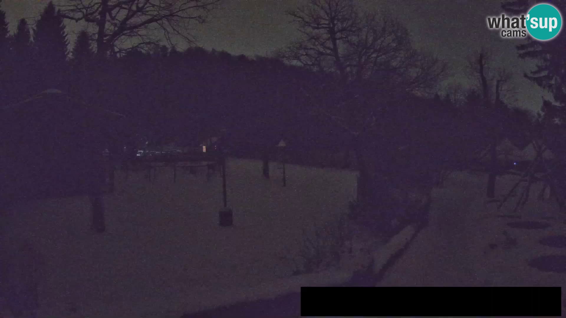 Webcam Zoo Ljubljana – Giraffes