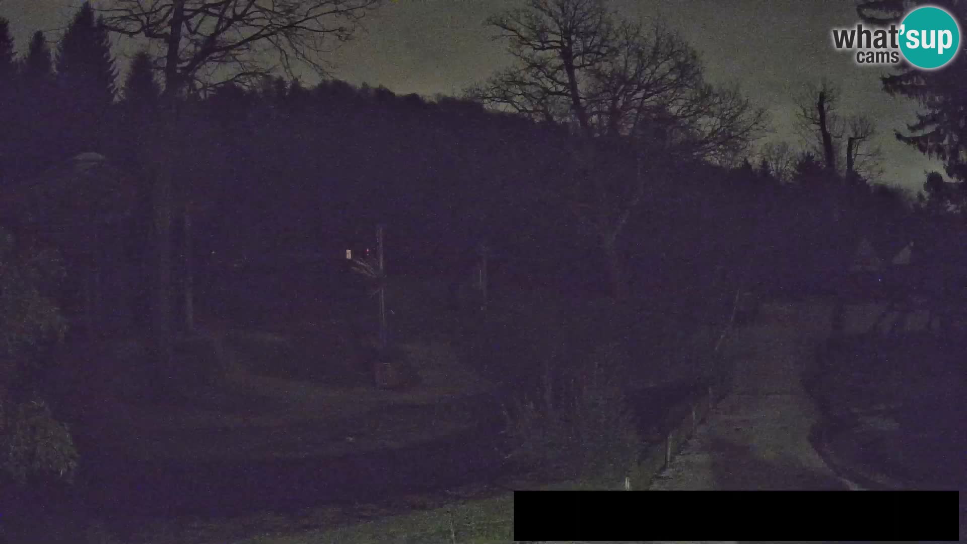 Webcam Zoo Ljubljana – Giraffes