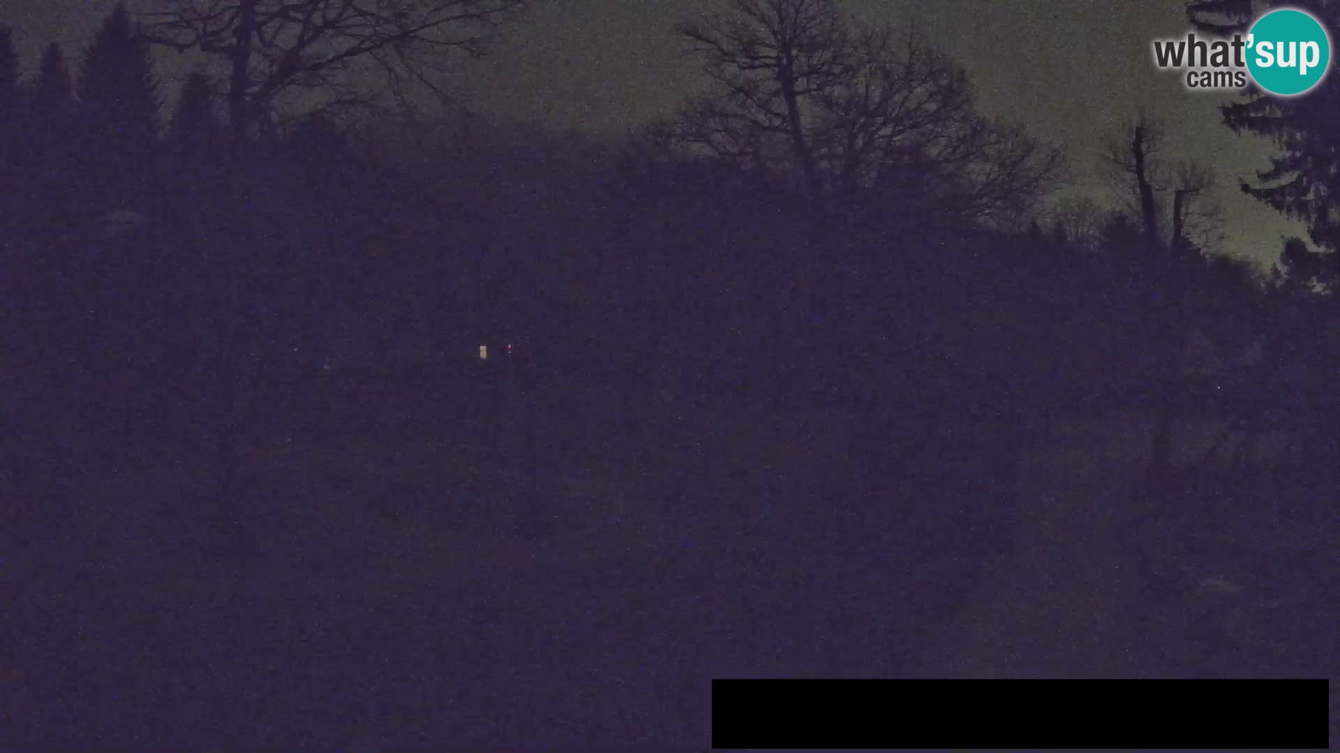 Webcam Zoo Ljubljana – Jirafas