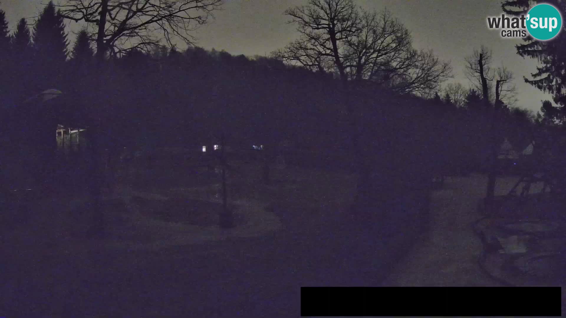 Webcam Zoo Ljubljana – Giraffes