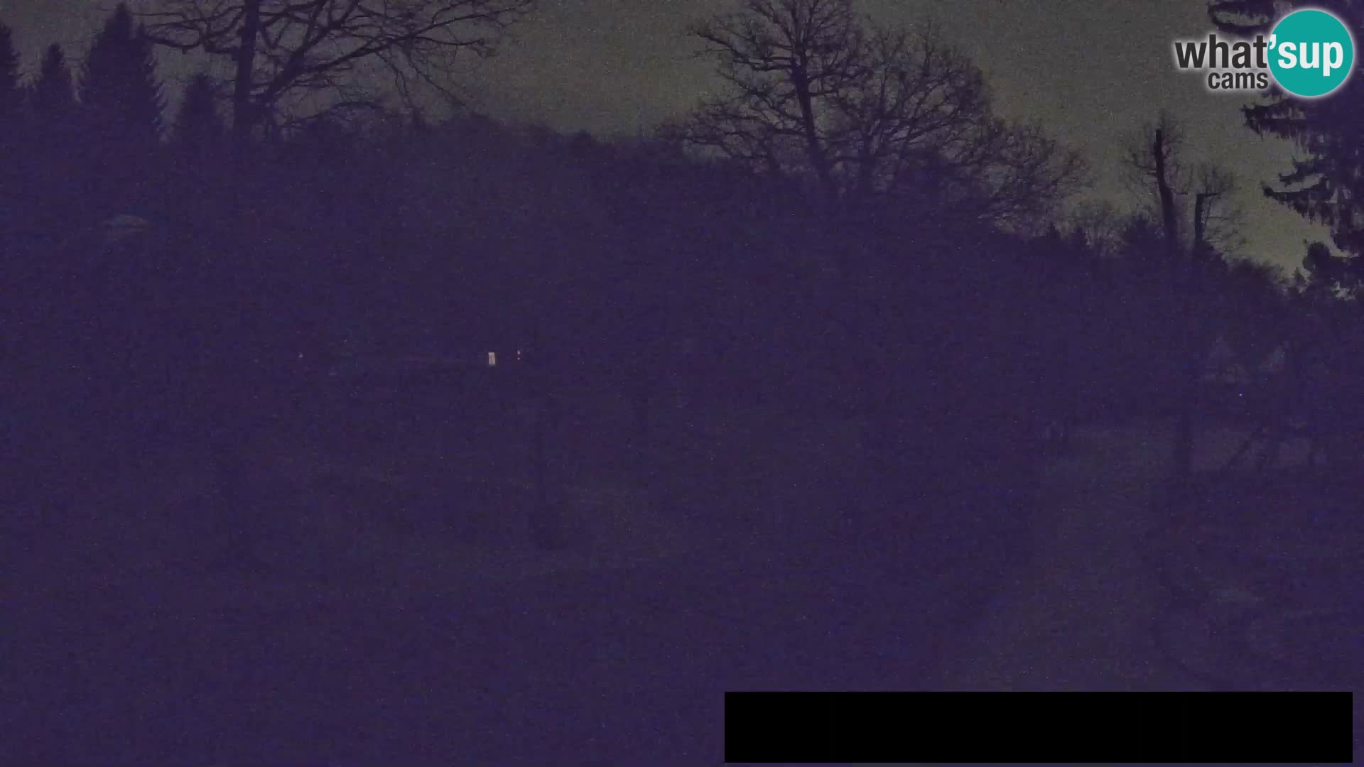 Webcam Zoo Ljubljana – Jirafas