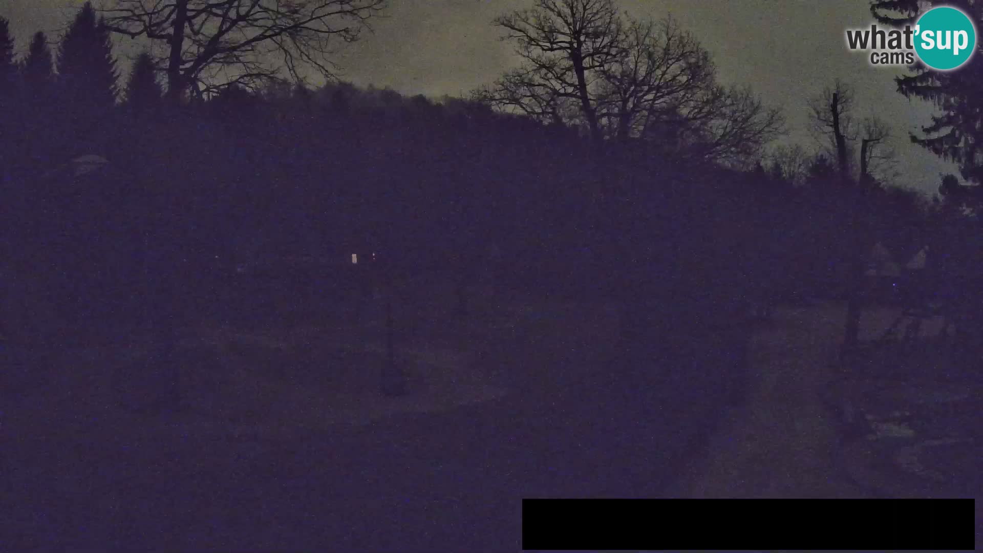 Webcam Zoo Ljubljana – Giraffes