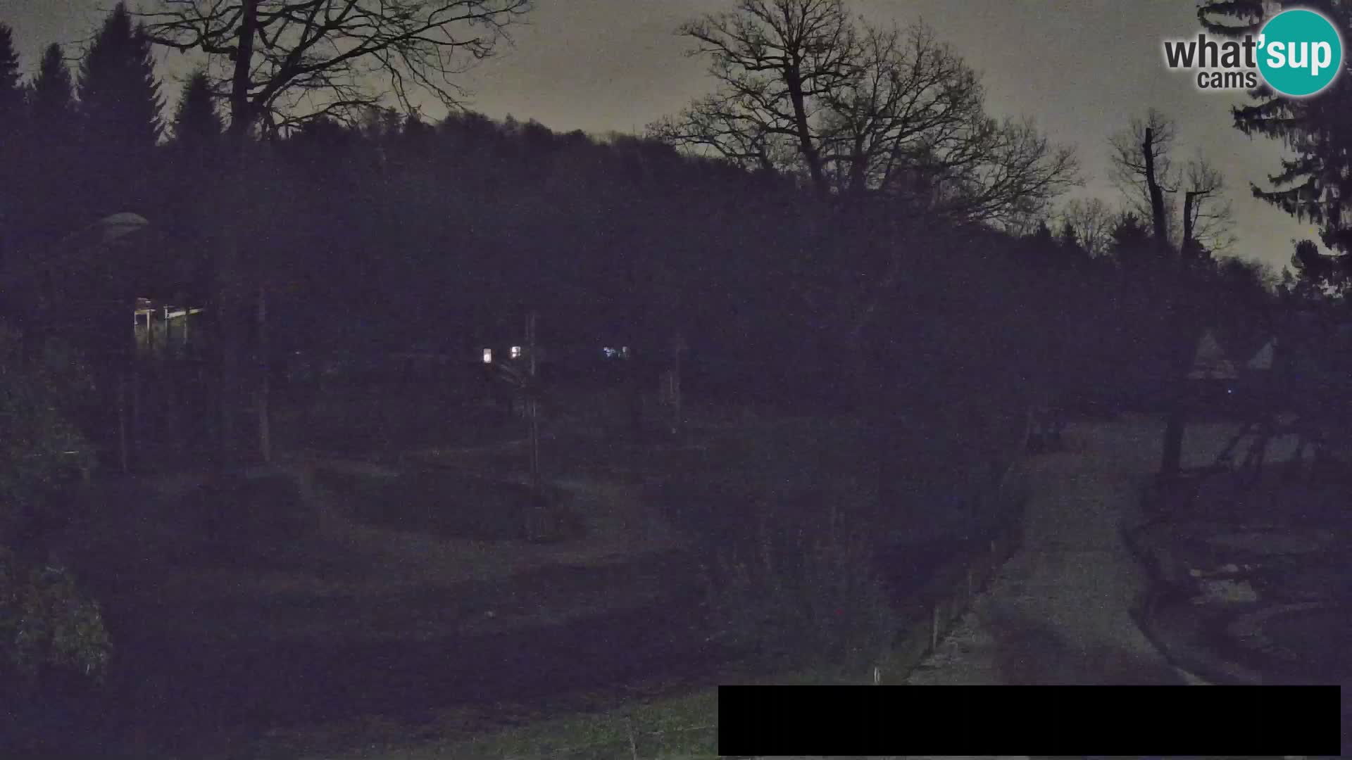 Webcam Zoo Ljubljana – Giraffen