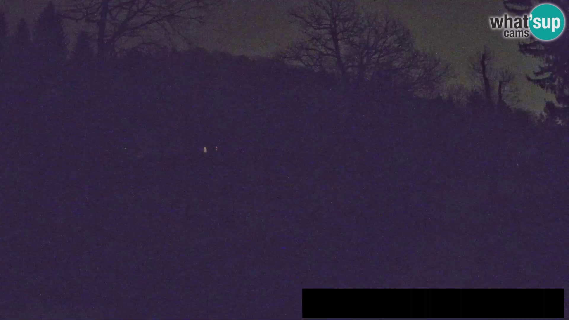 Webcam Zoo Ljubljana – Giraffes