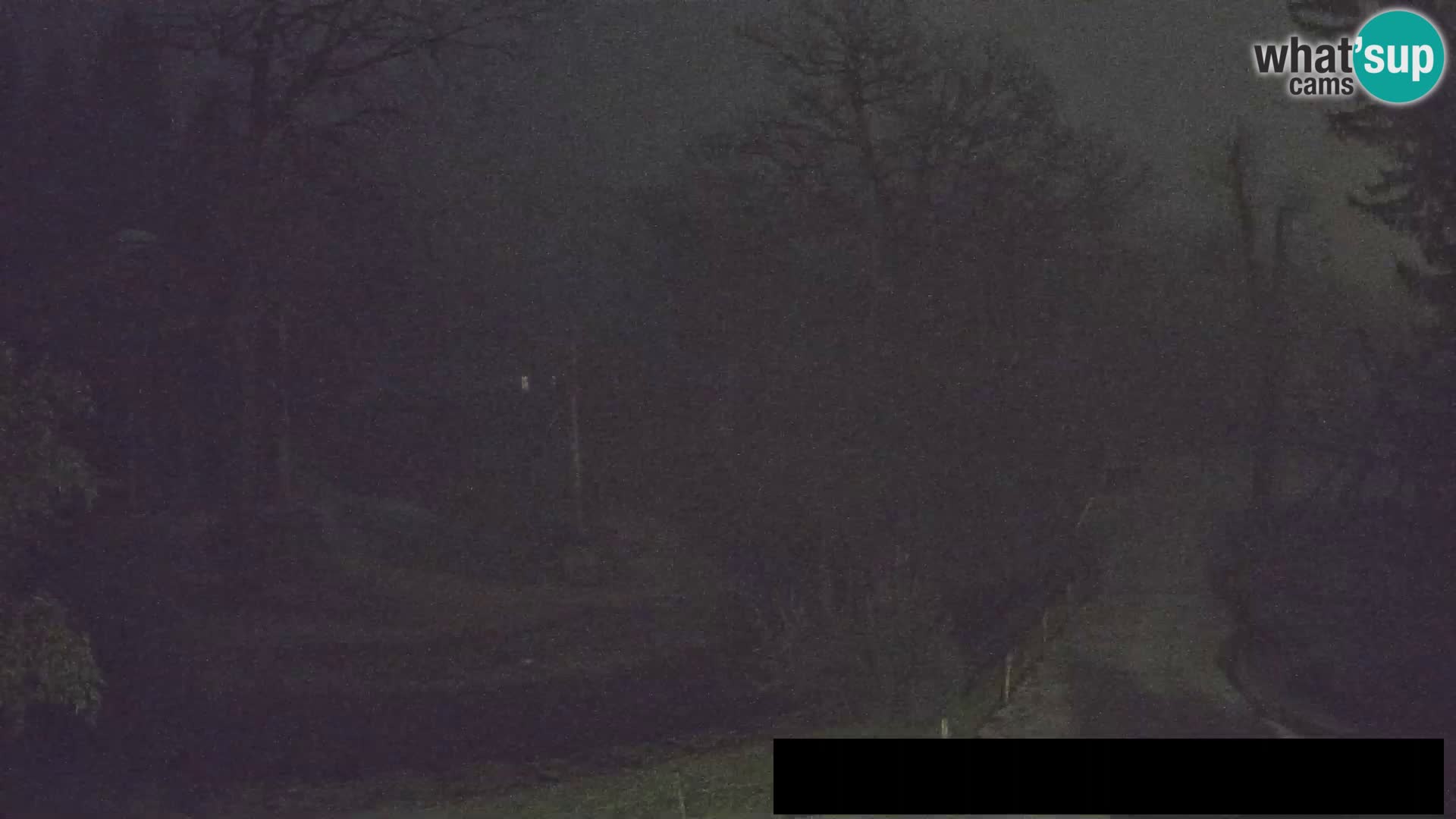 Spletna kamera Živalski vrt Ljubljana – Žirafe