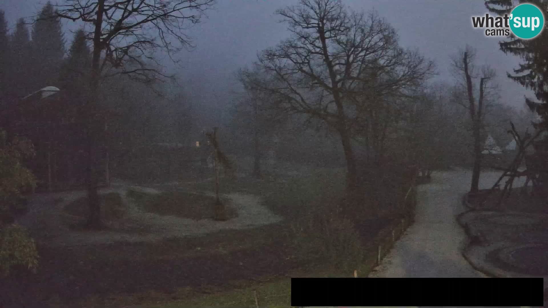 Web kamera Zoo Ljubljana – Žirafe