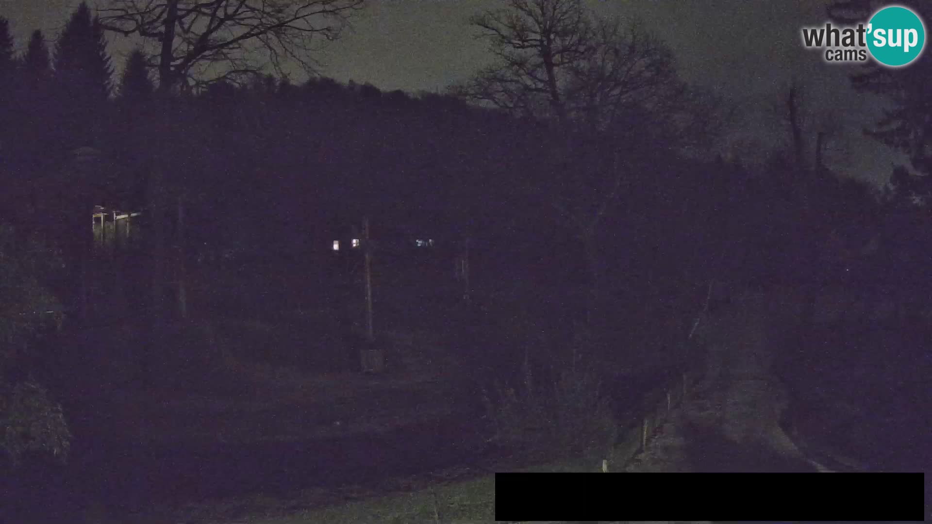 Webcam Zoo Ljubljana – Giraffes