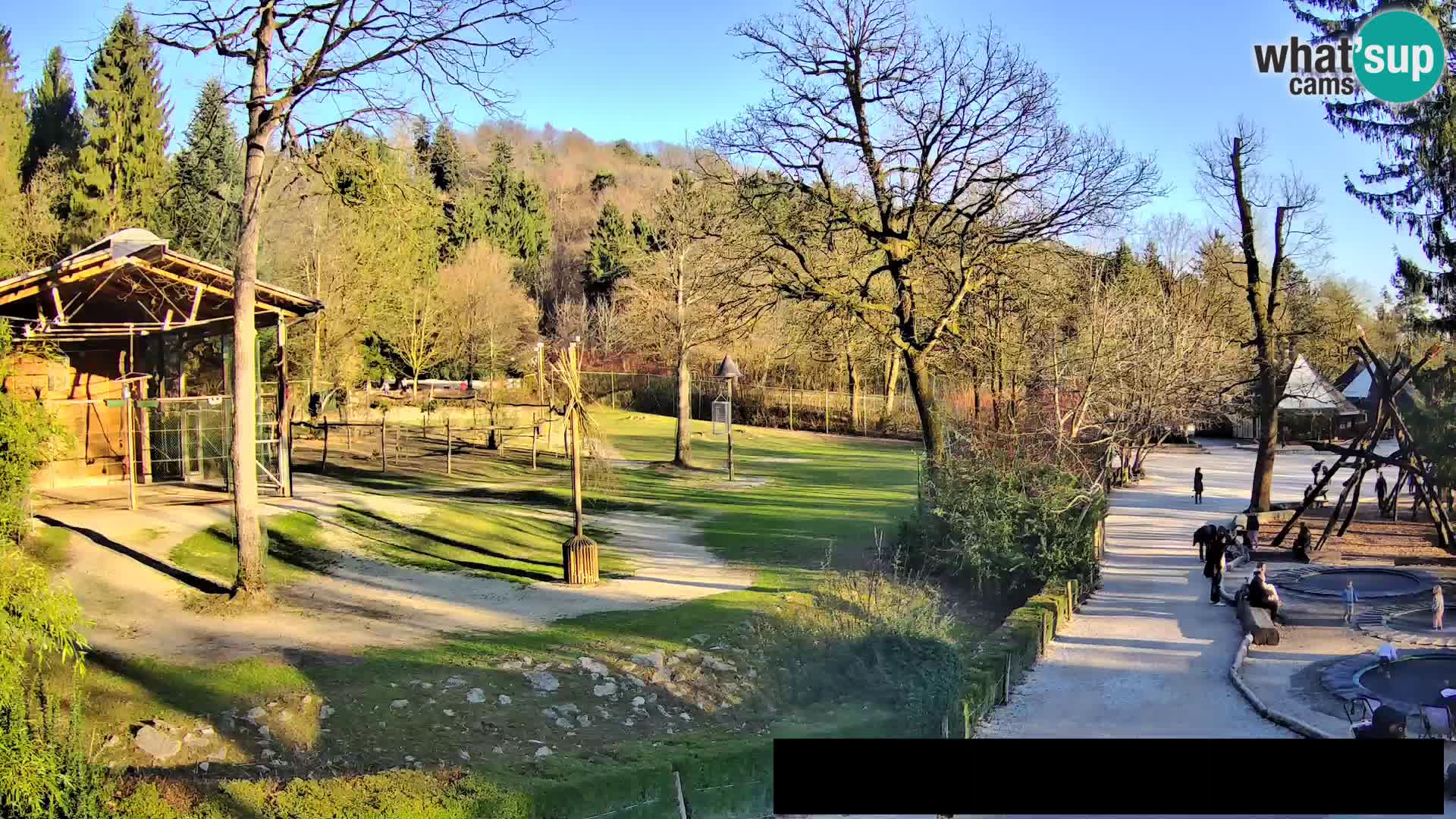 Web kamera Zoo Ljubljana – Žirafe