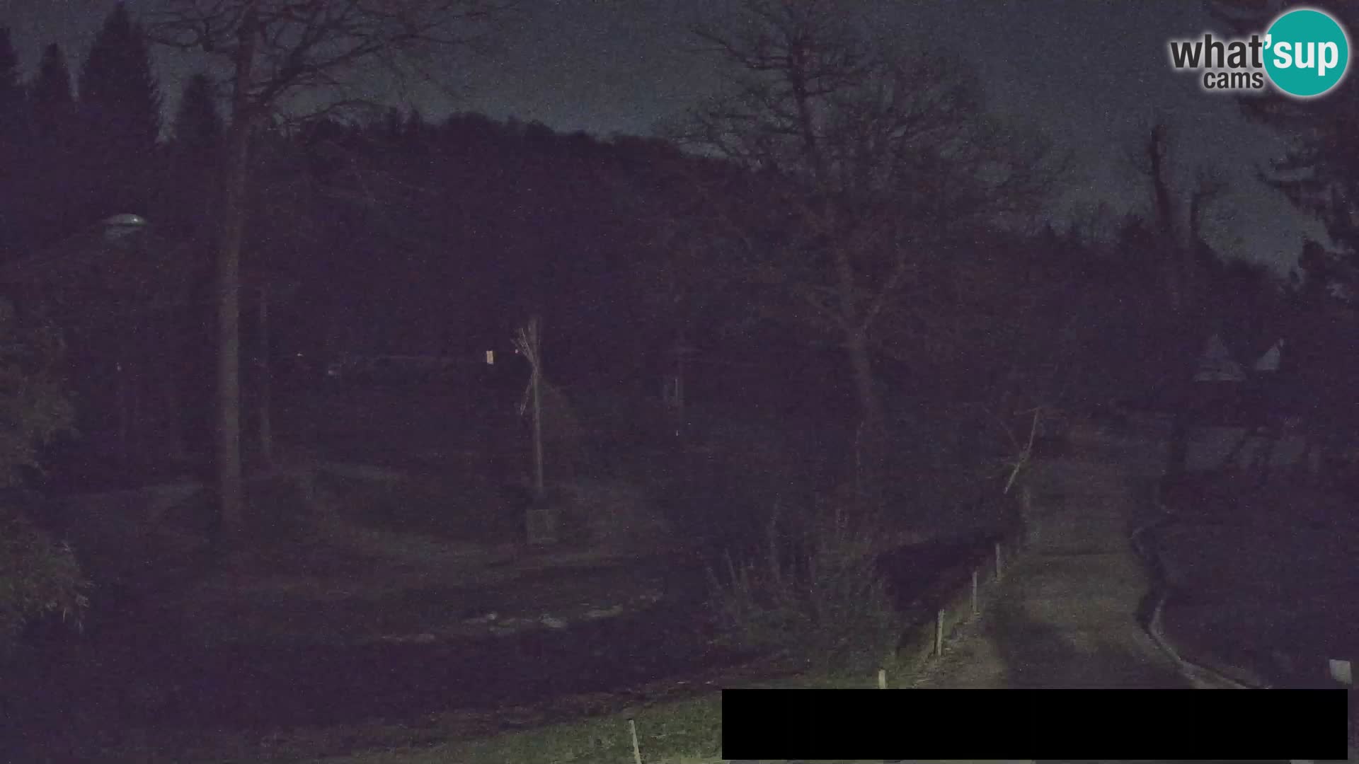 Web kamera Zoo Ljubljana – Žirafe