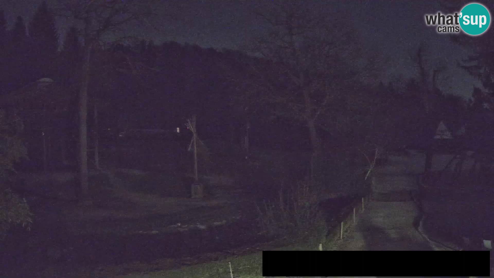 Webcam Zoo Ljubljana – Giraffes