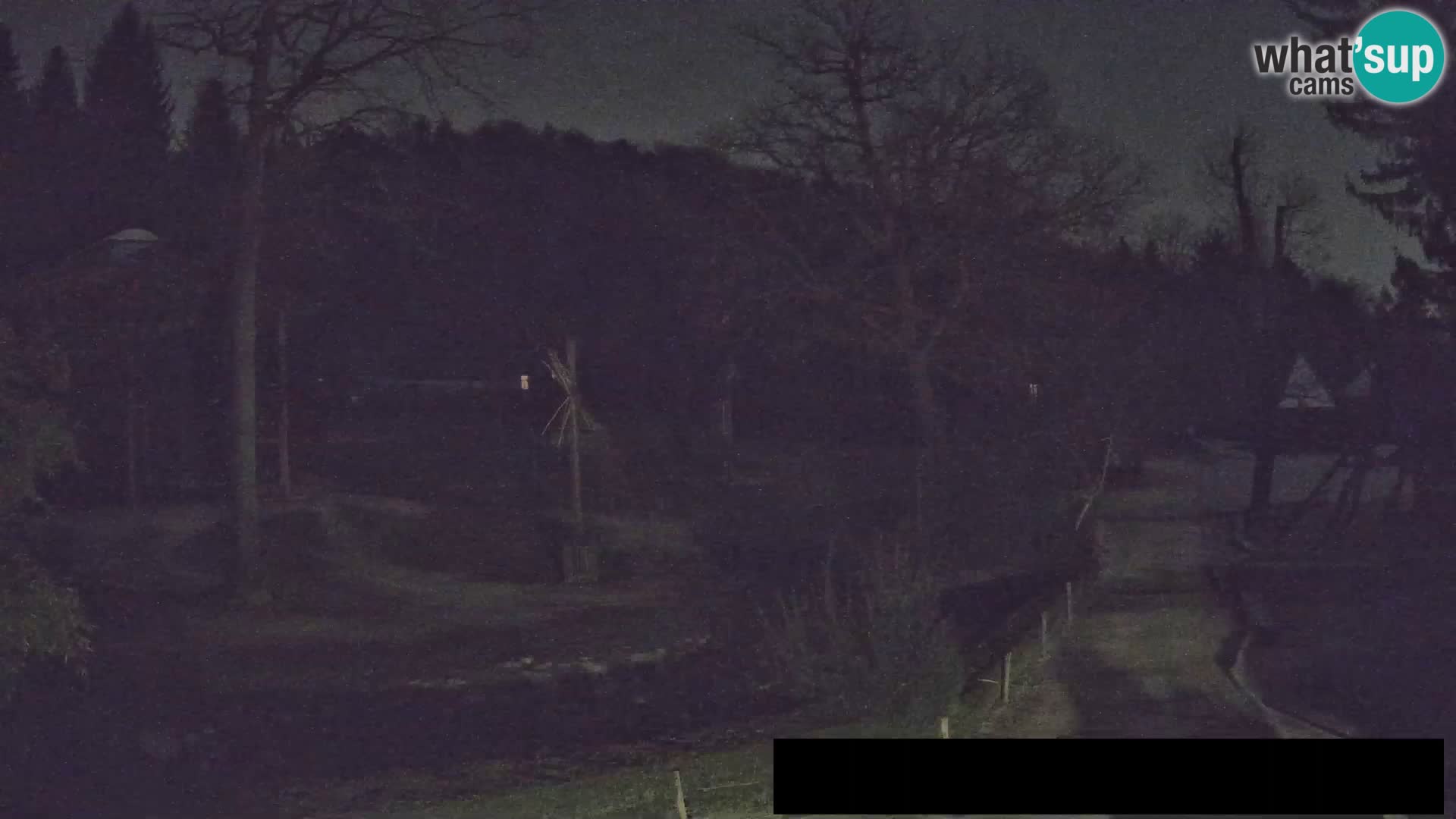 Webcam Zoo Ljubljana – Jirafas