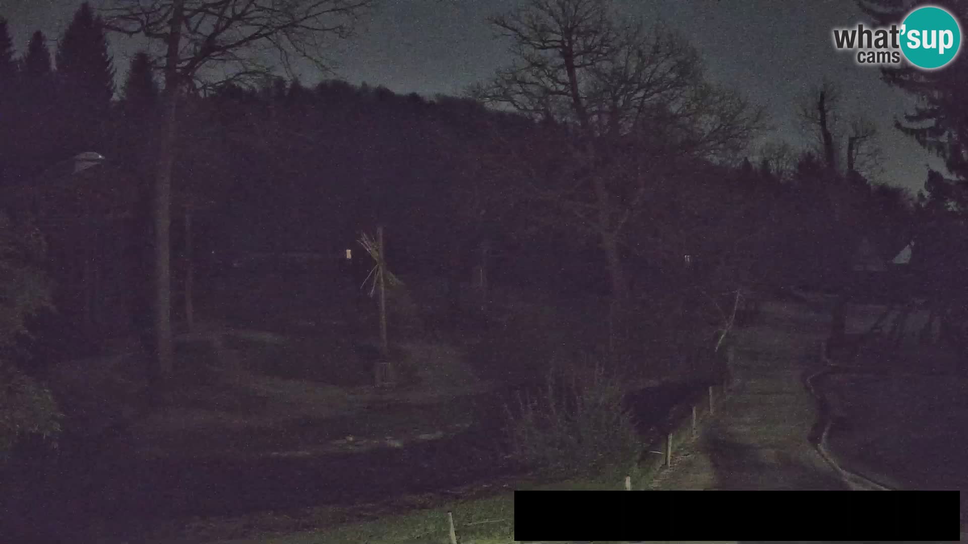 Spletna kamera Živalski vrt Ljubljana – Žirafe