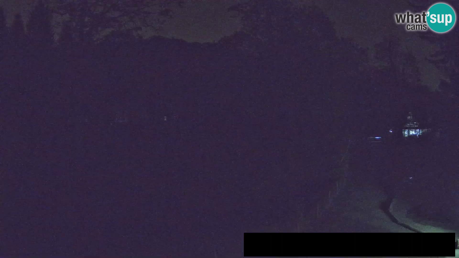 Webcam Zoo Ljubljana – Giraffes