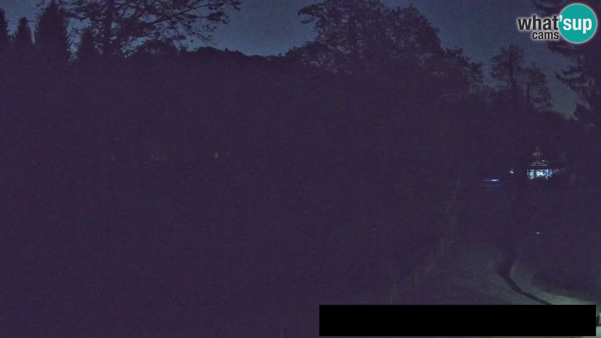 Web kamera Zoo Ljubljana – Žirafe