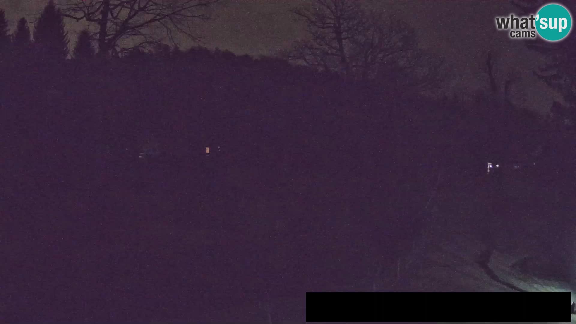 Webcam Zoo Ljubljana – Giraffes