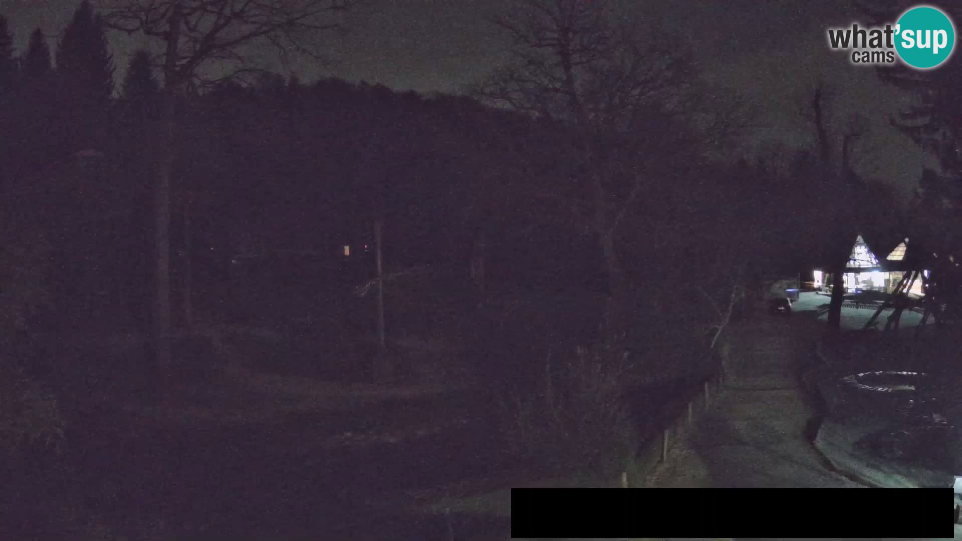 Web kamera Zoo Ljubljana – Žirafe