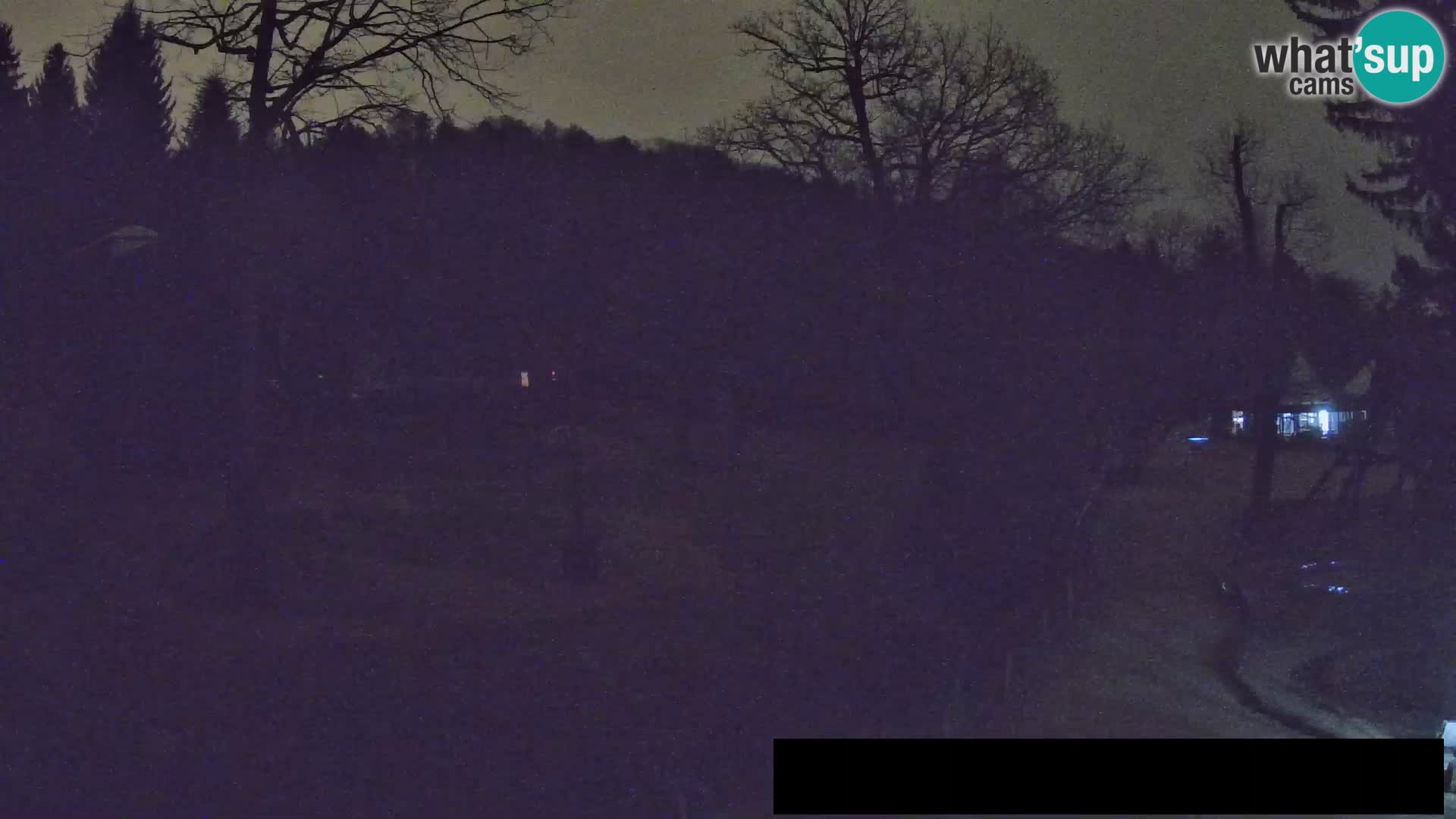 Webcam Zoo Ljubljana – Giraffes