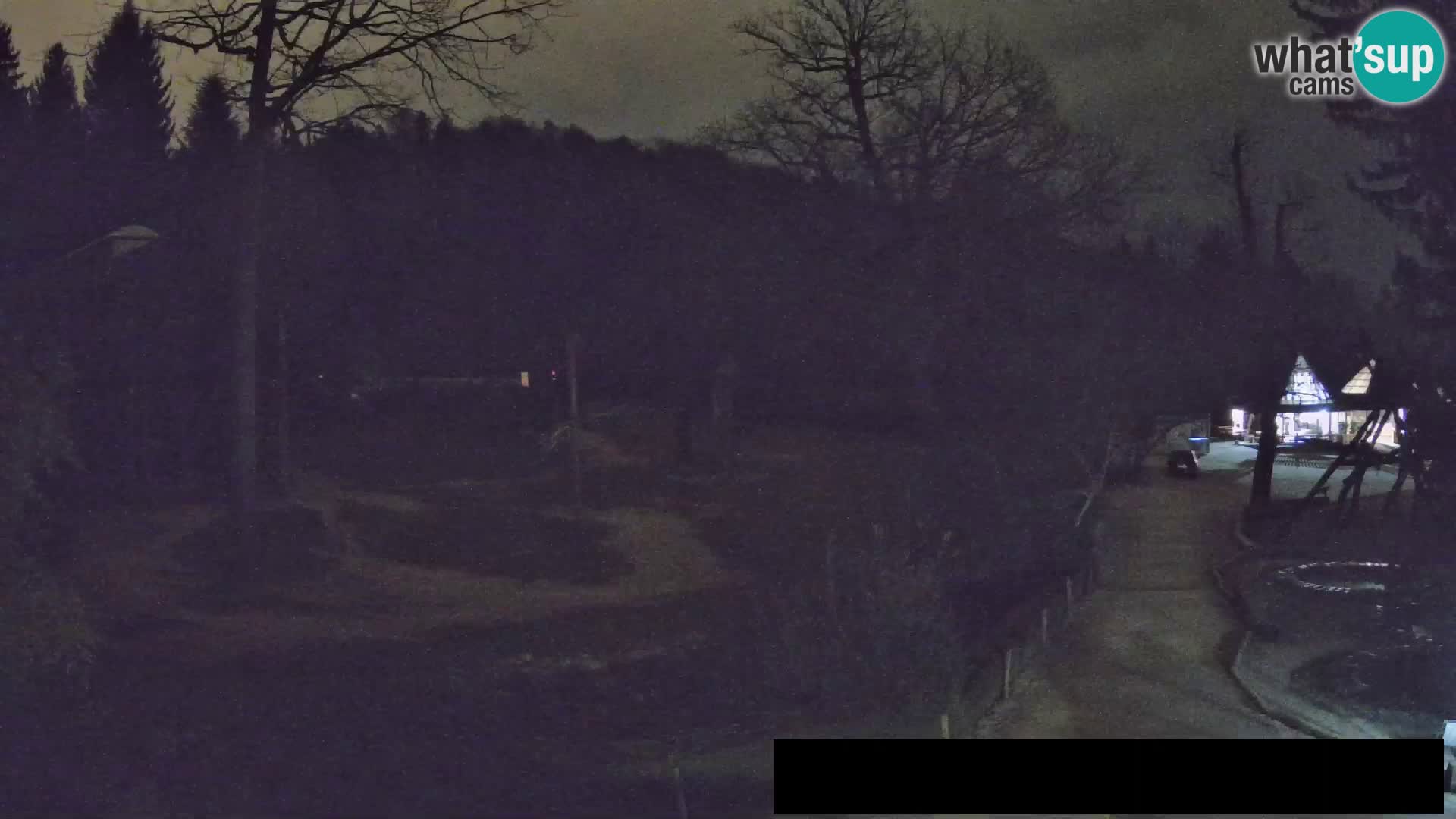 Webcam Zoo Ljubljana – Giraffes