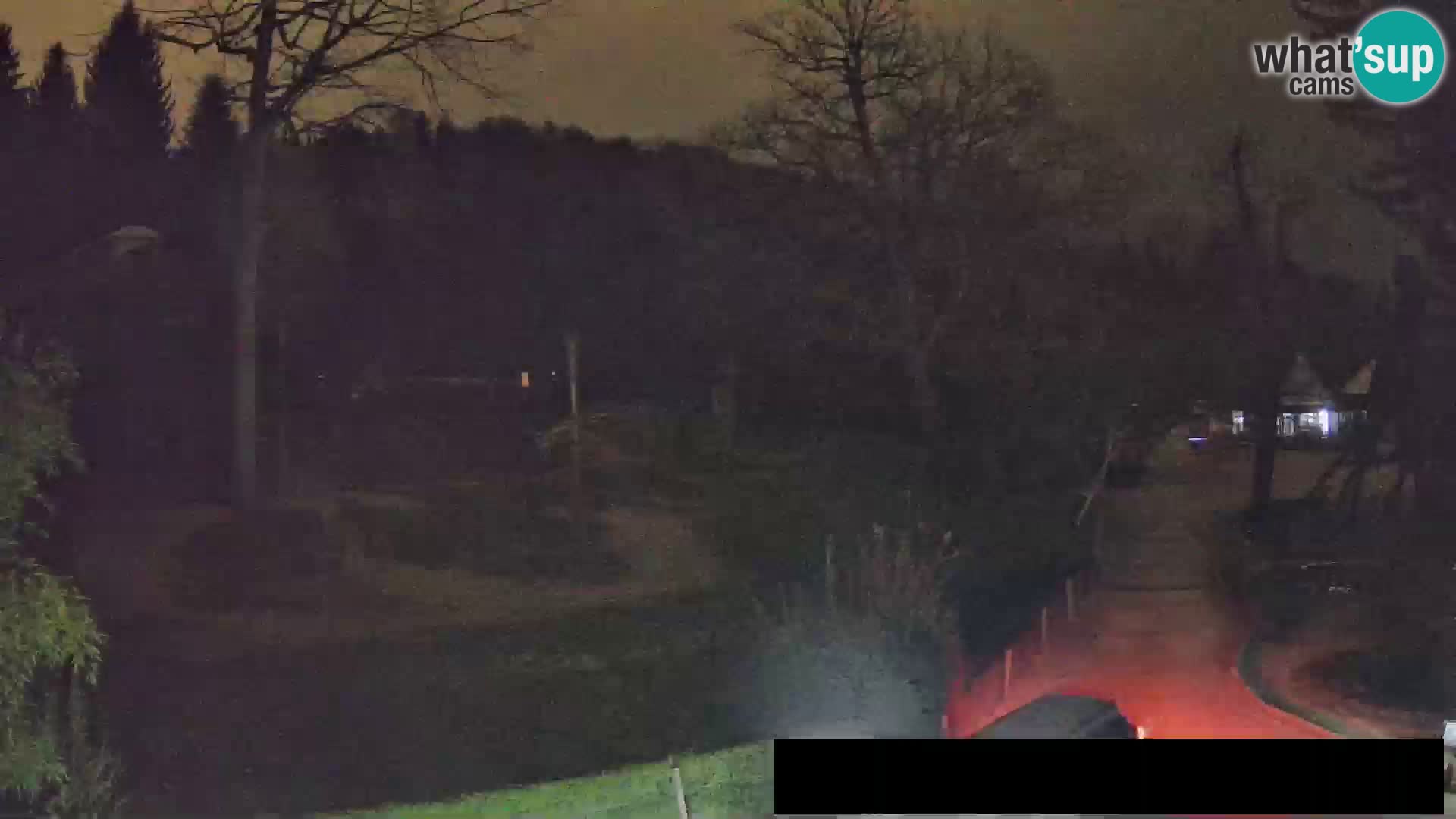 Webcam live Zoo Lubiana – Giraffe