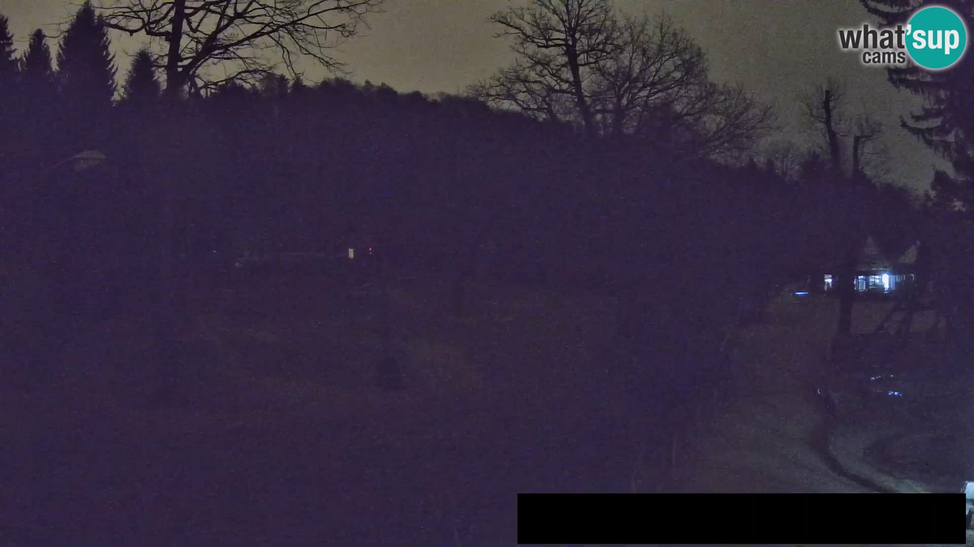 Webcam Zoo Ljubljana – Jirafas