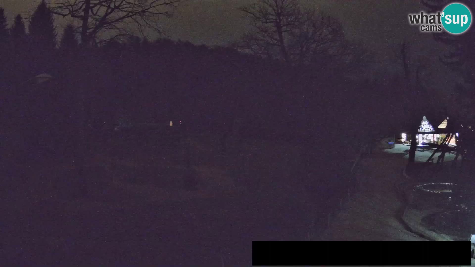 Web kamera Zoo Ljubljana – Žirafe