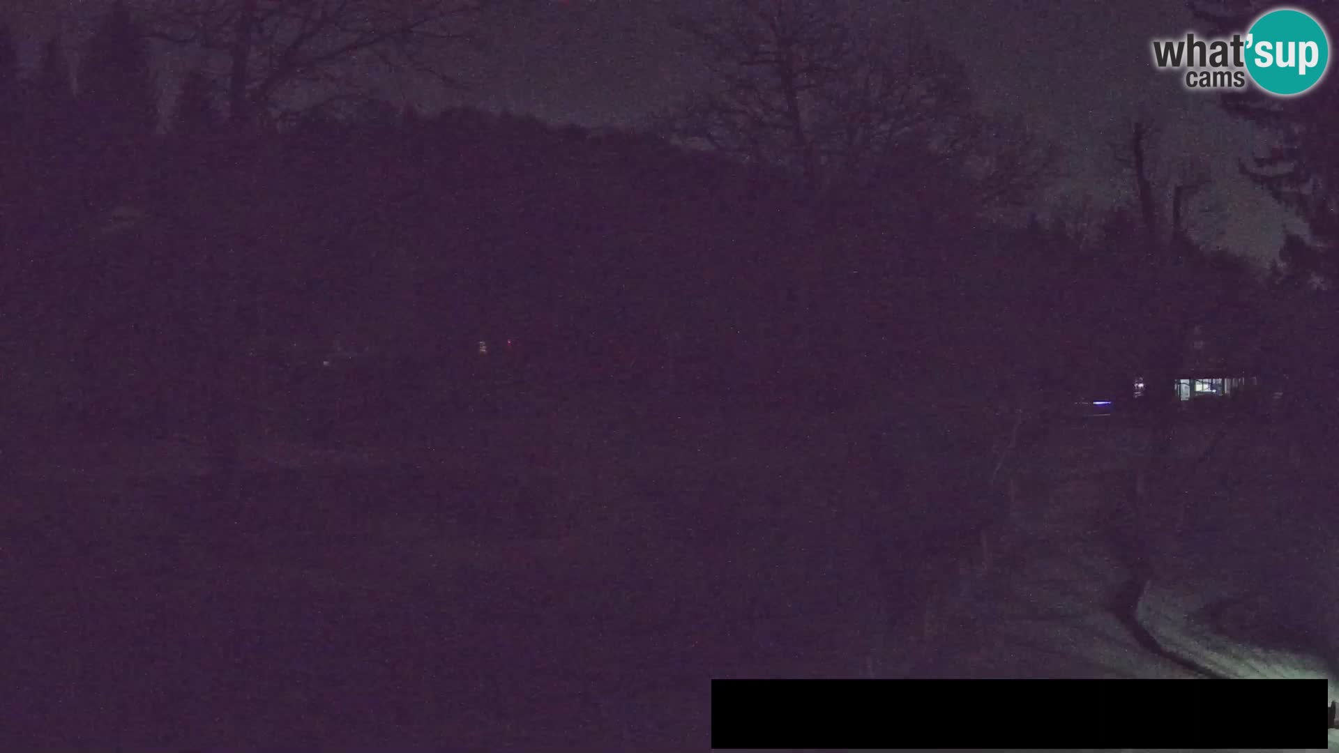 Webcam Zoo Ljubljana – Giraffes