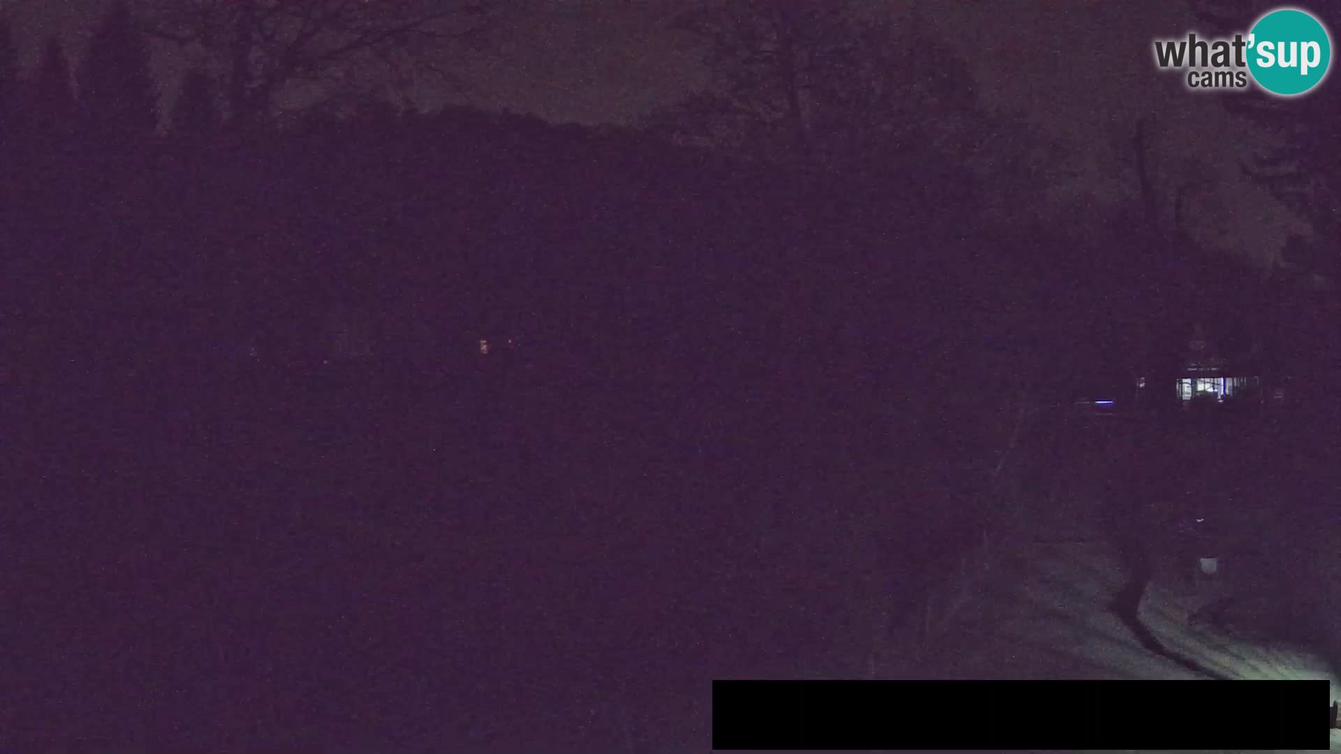 Webcam Zoo Ljubljana – Giraffen