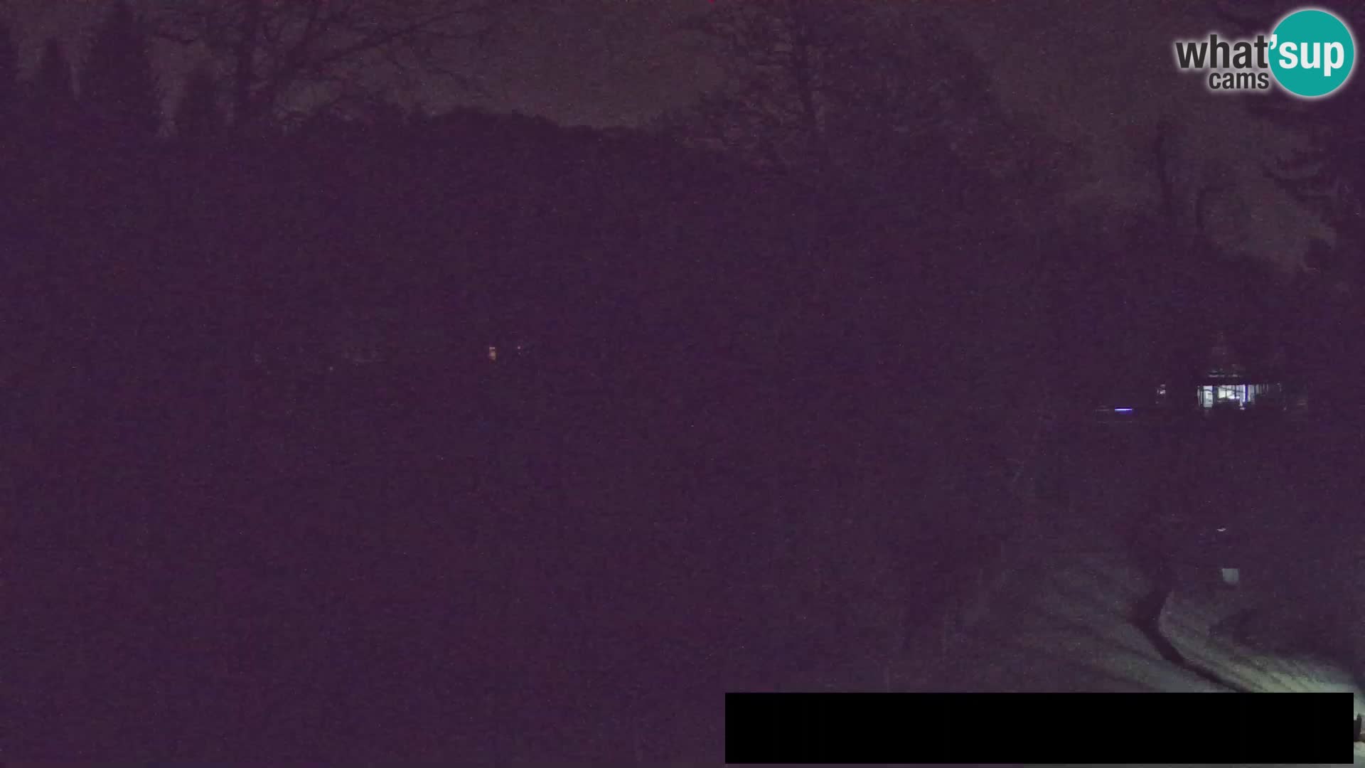 Web kamera Zoo Ljubljana – Žirafe