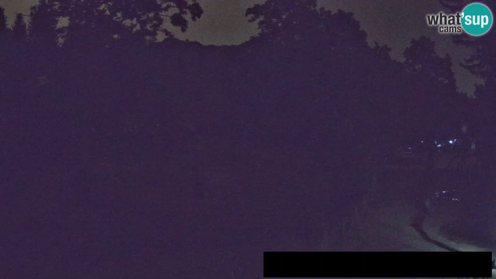 Webcam live Zoo Lubiana – Giraffe