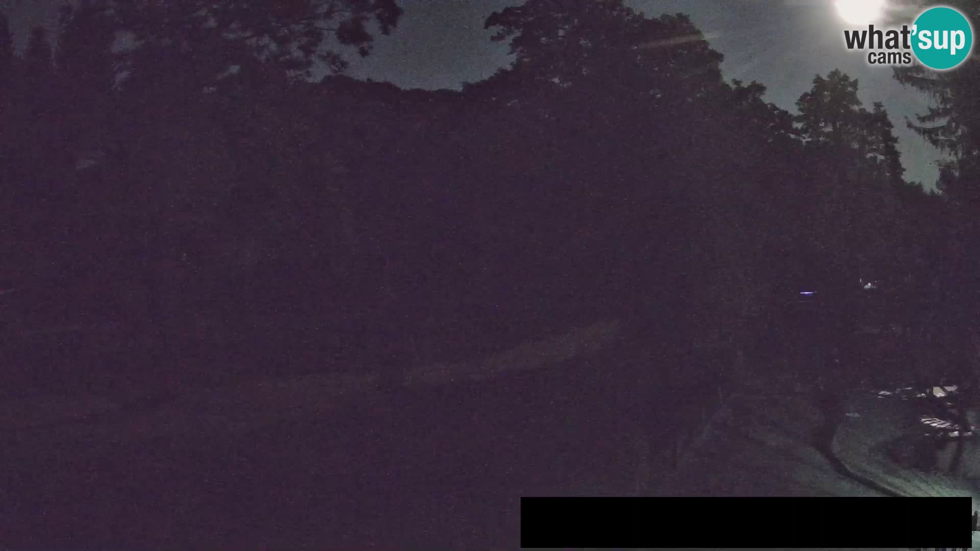 Webcam Zoo Ljubljana – Giraffes
