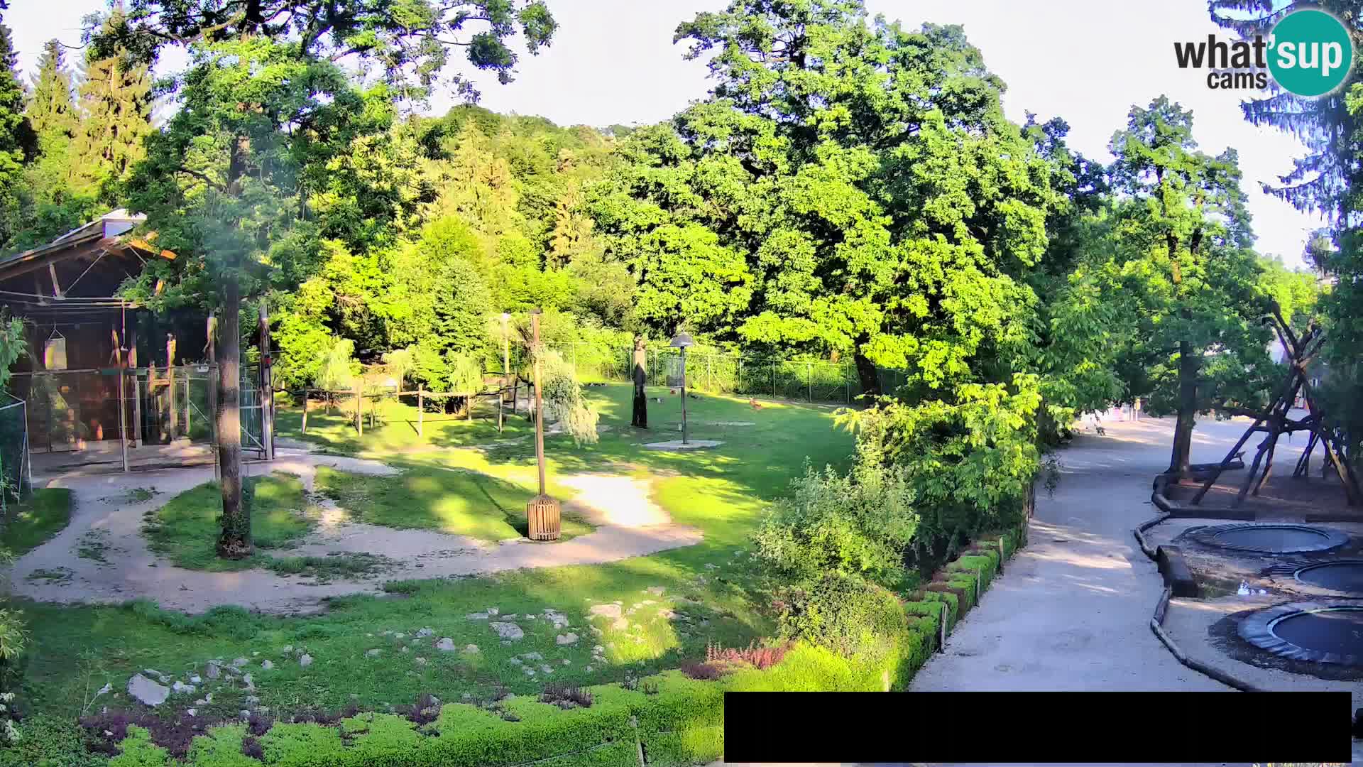 Web kamera Zoo Ljubljana – Žirafe