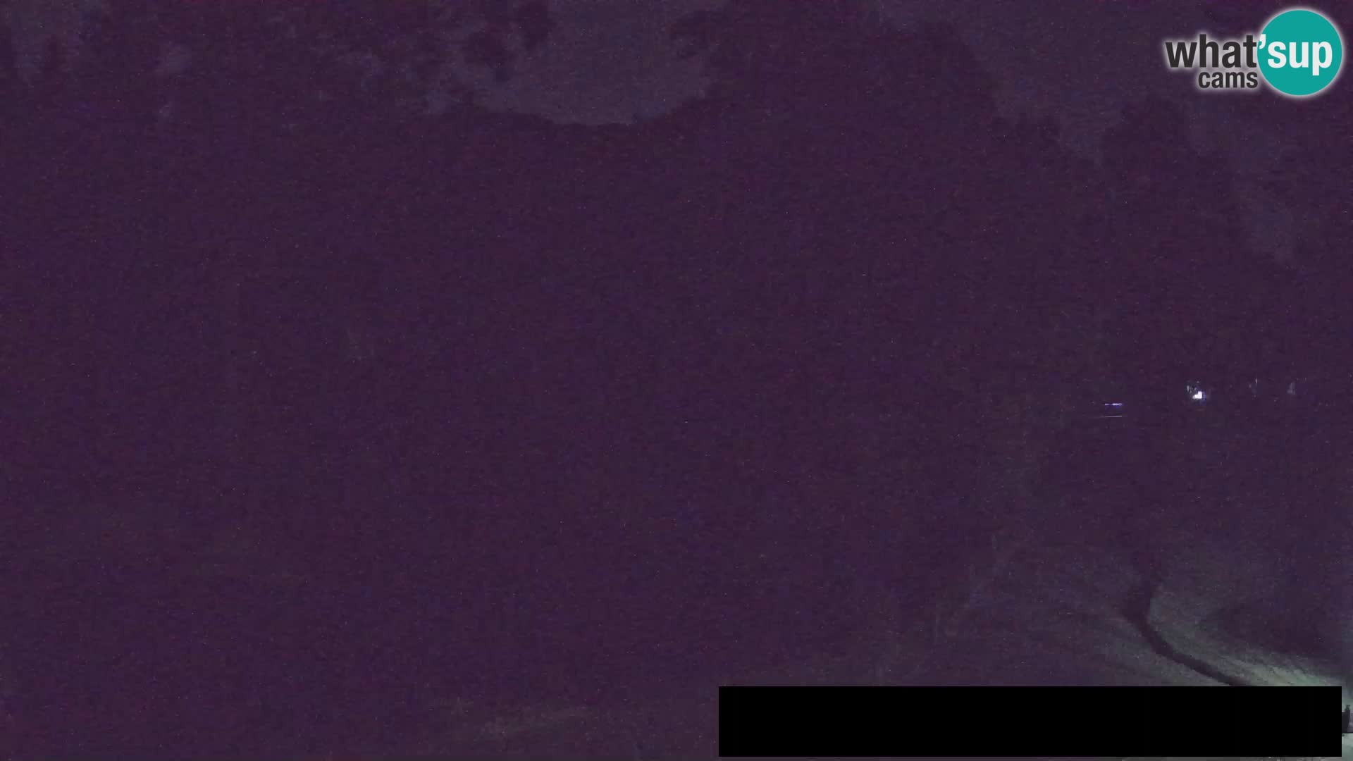Webcam Zoo Ljubljana – Jirafas