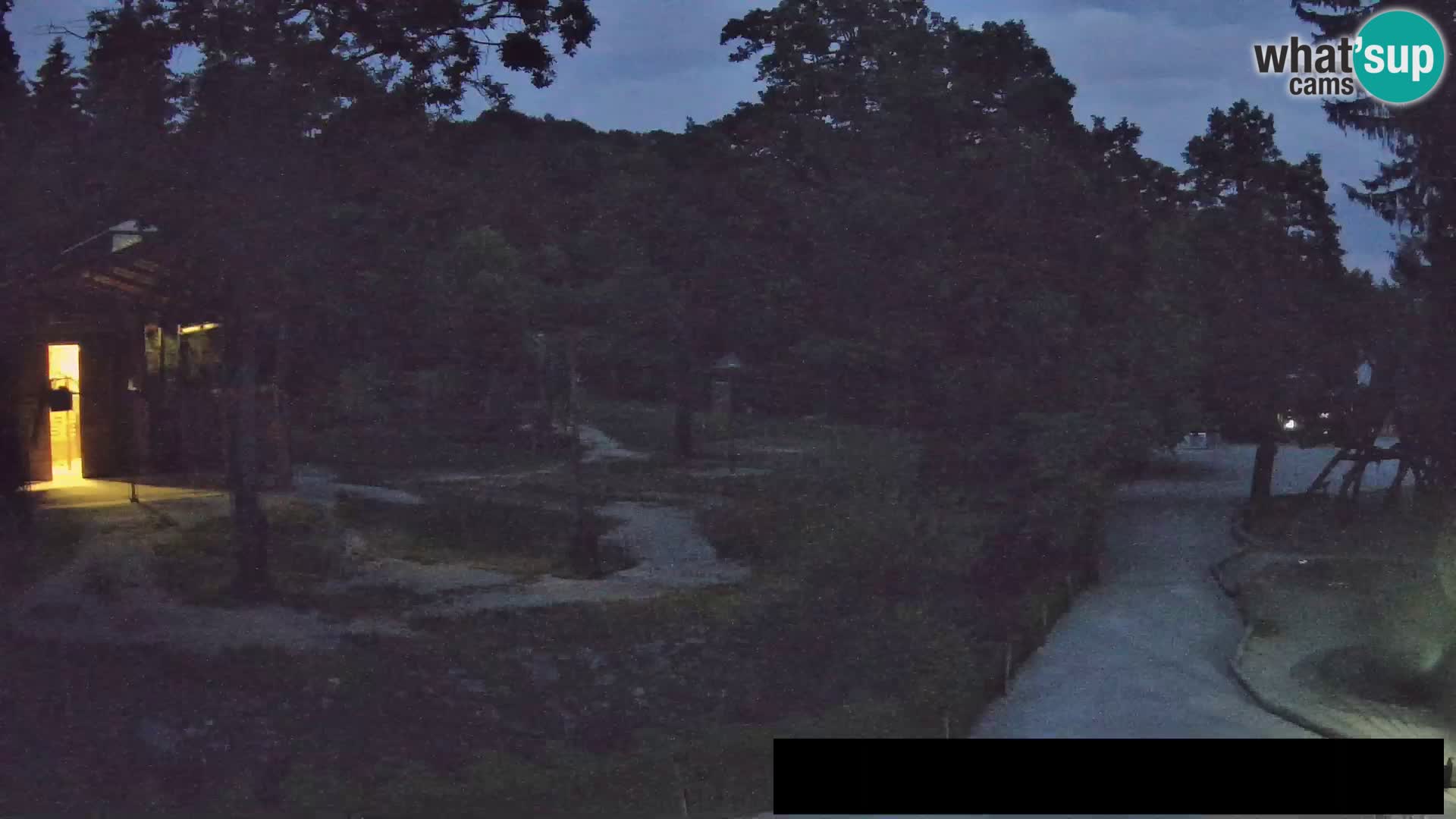 Webcam Zoo Ljubljana – Giraffes