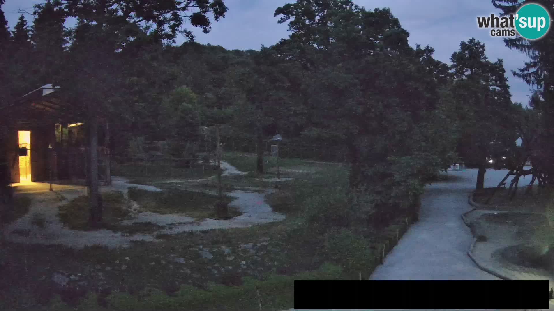 Webcam Zoo Ljubljana – Jirafas