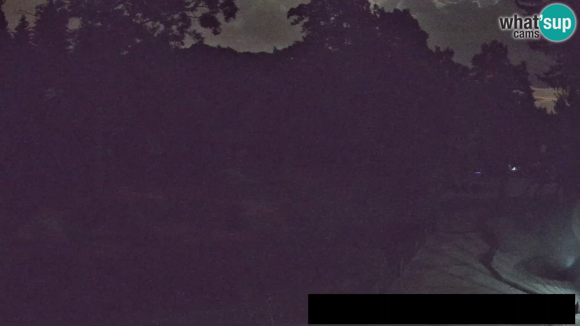 Webcam live Zoo Lubiana – Giraffe