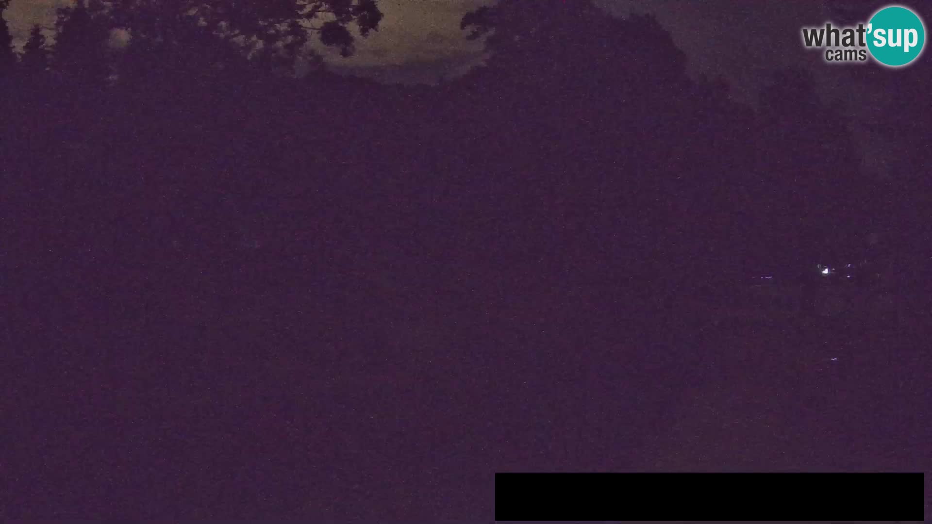 Webcam Zoo Ljubljana – Giraffes