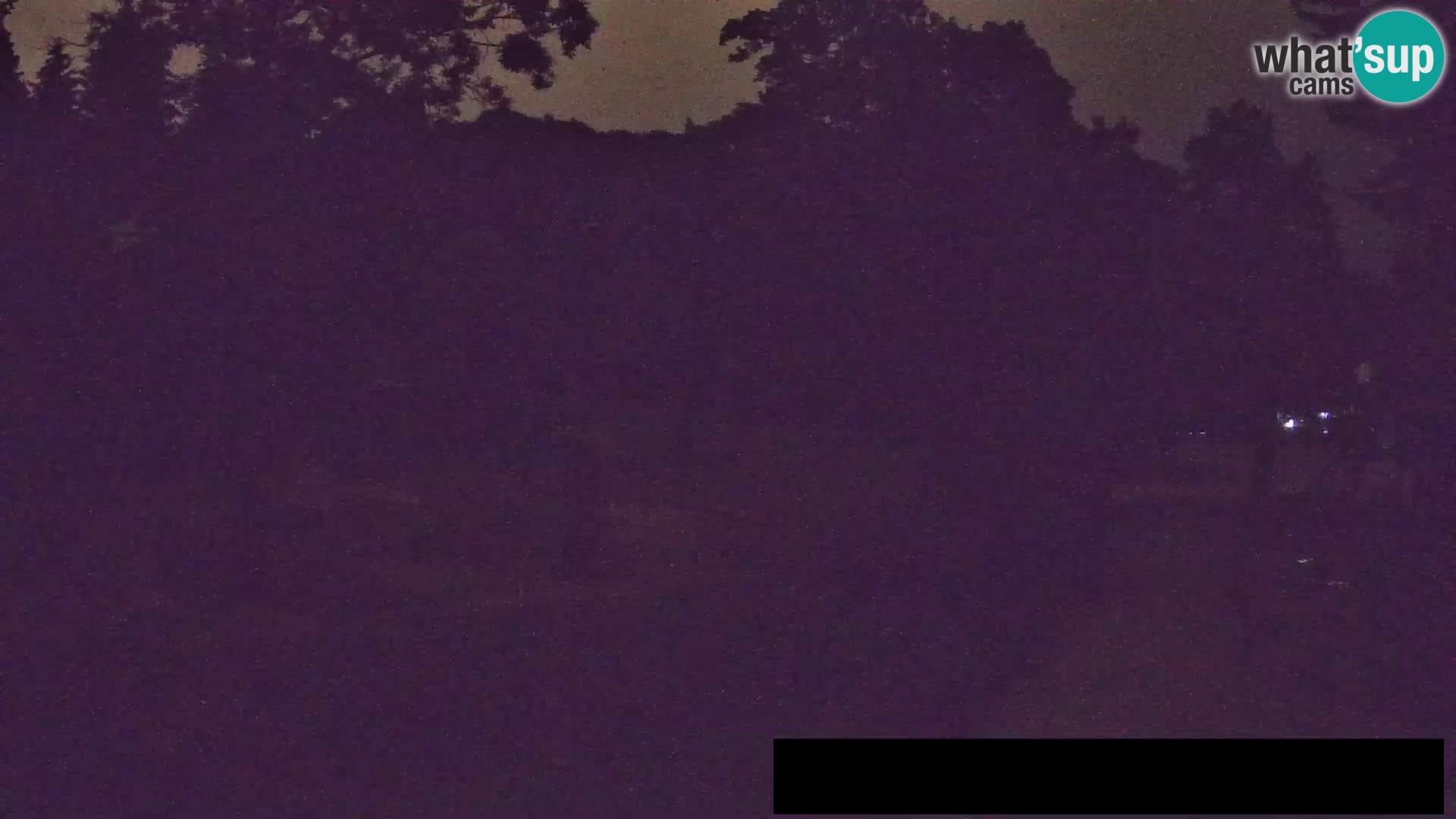 Webcam Zoo Ljubljana – Jirafas