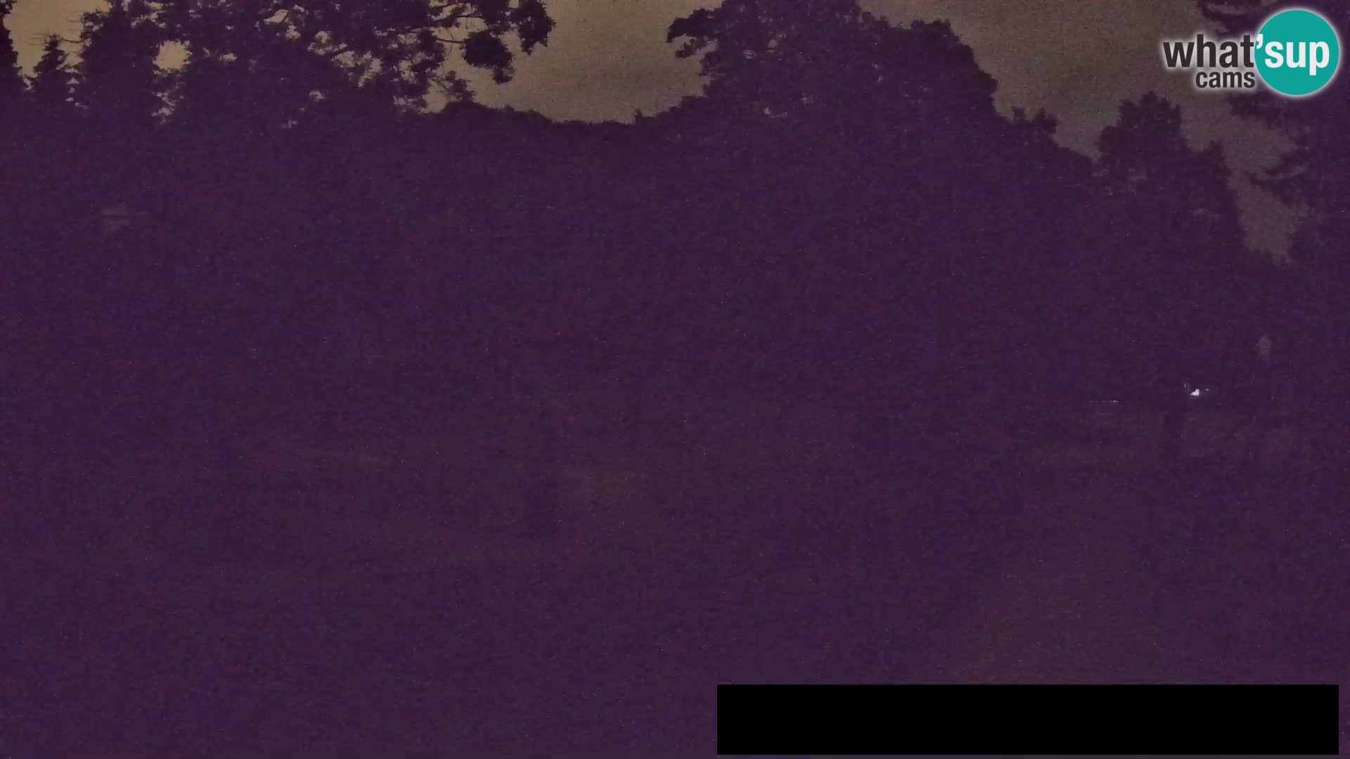 Webcam live Zoo Lubiana – Giraffe