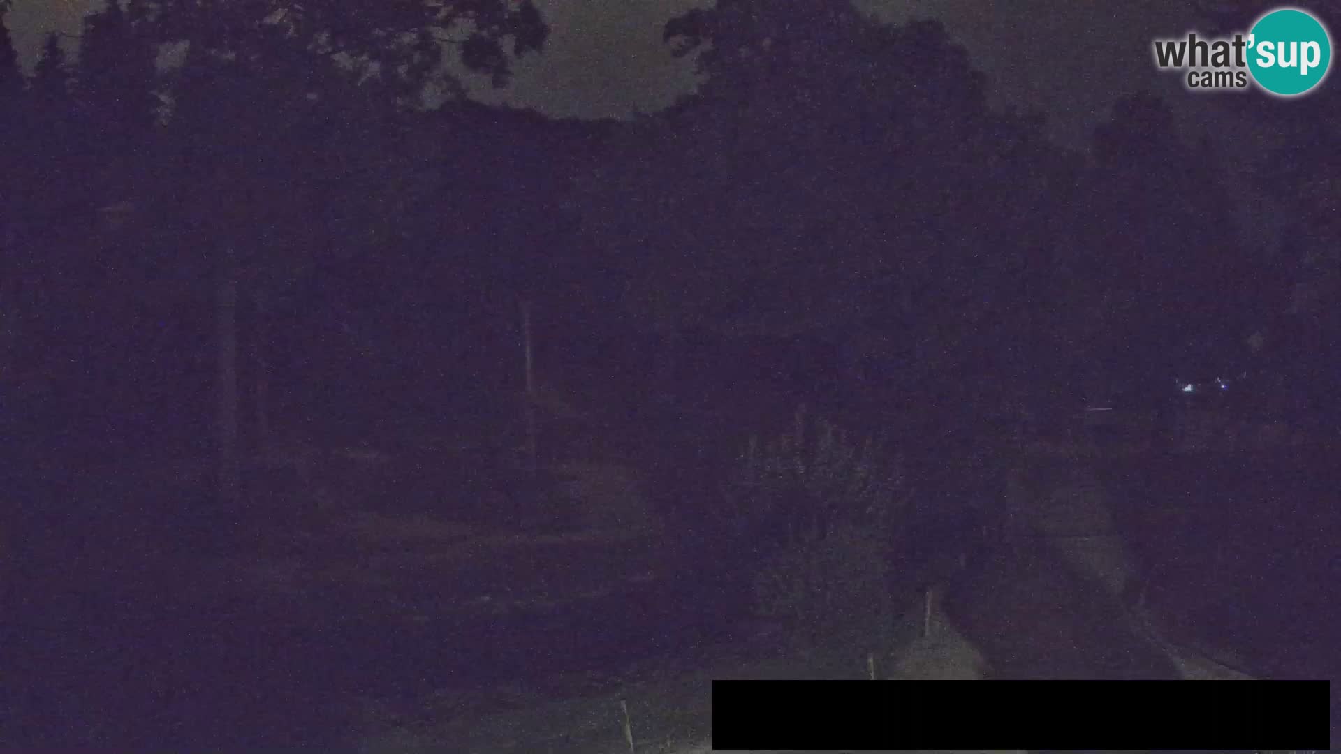 Webcam Zoo Ljubljana – Giraffen